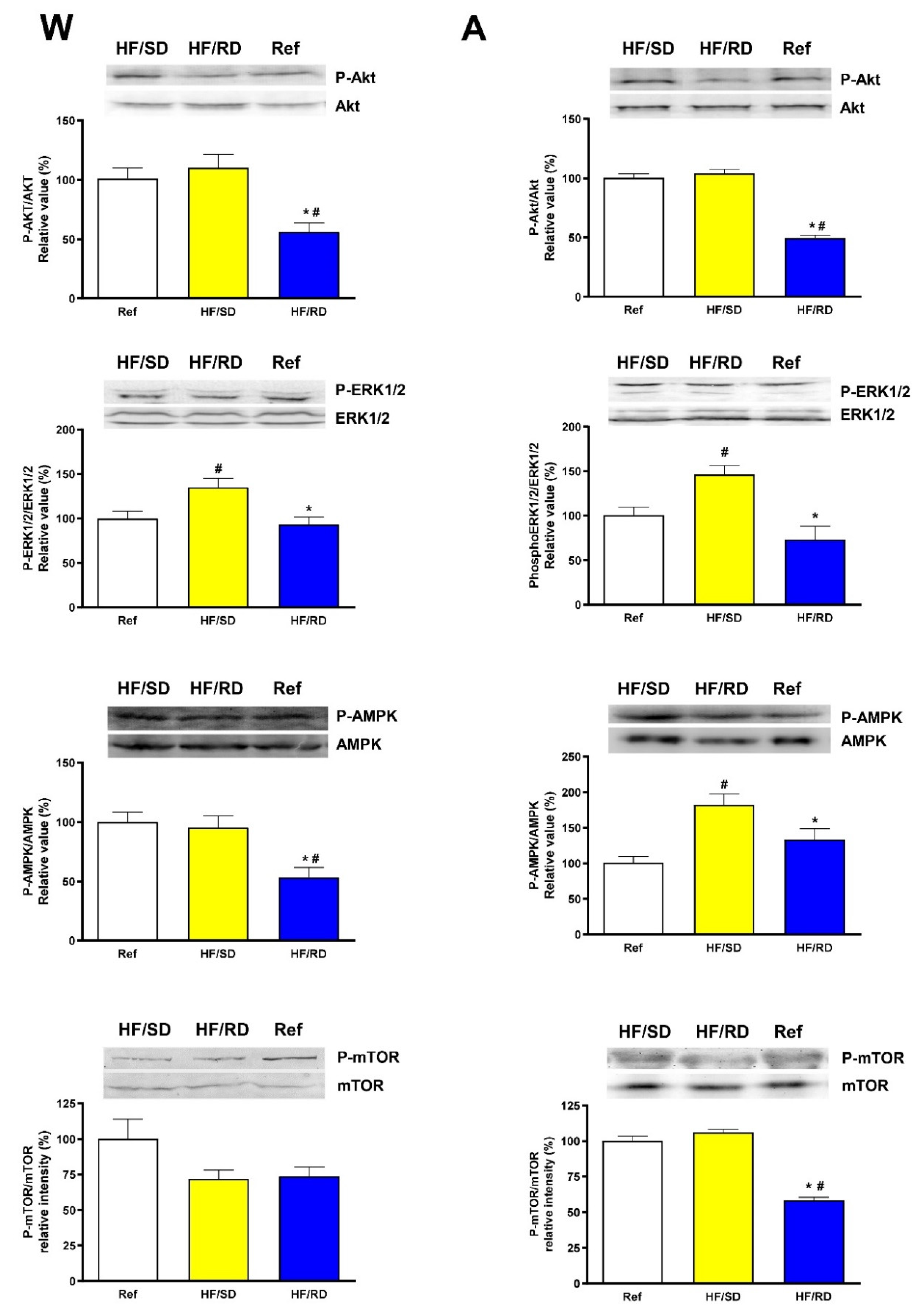 Nutrients 12 00528 g005 Nutrients 12 00528 g005