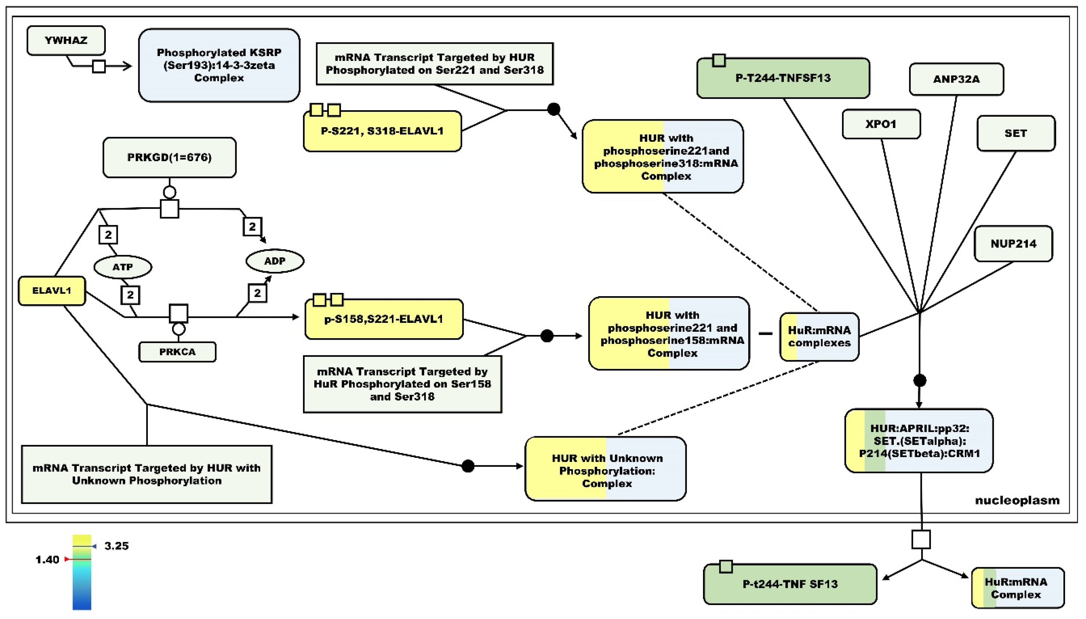 Nutrients 12 00528 g009 Nutrients 12 00528 g009