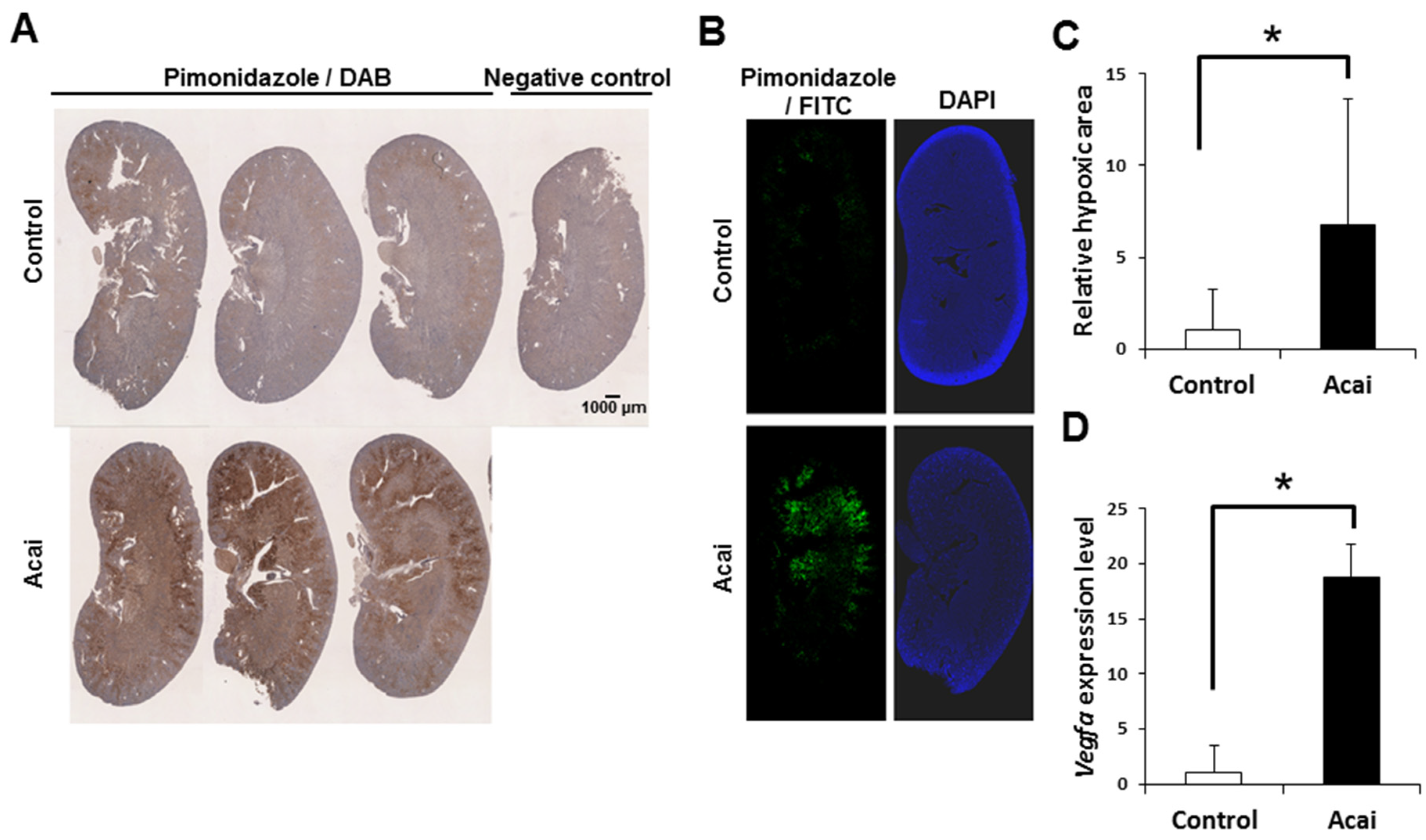Nutrients 12 00533 g002 Nutrients 12 00533 g002