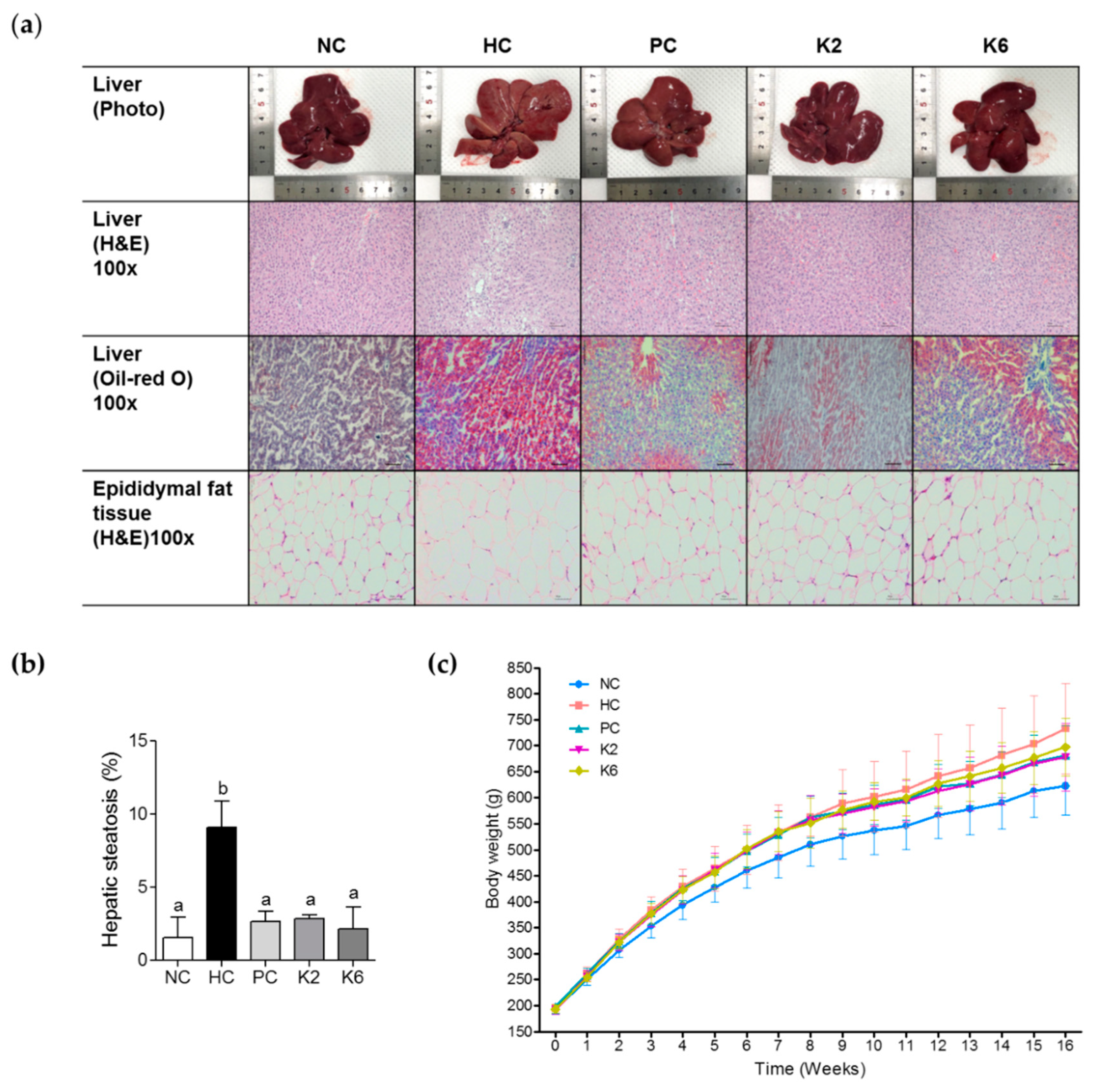 Nutrients 12 00542 g002
