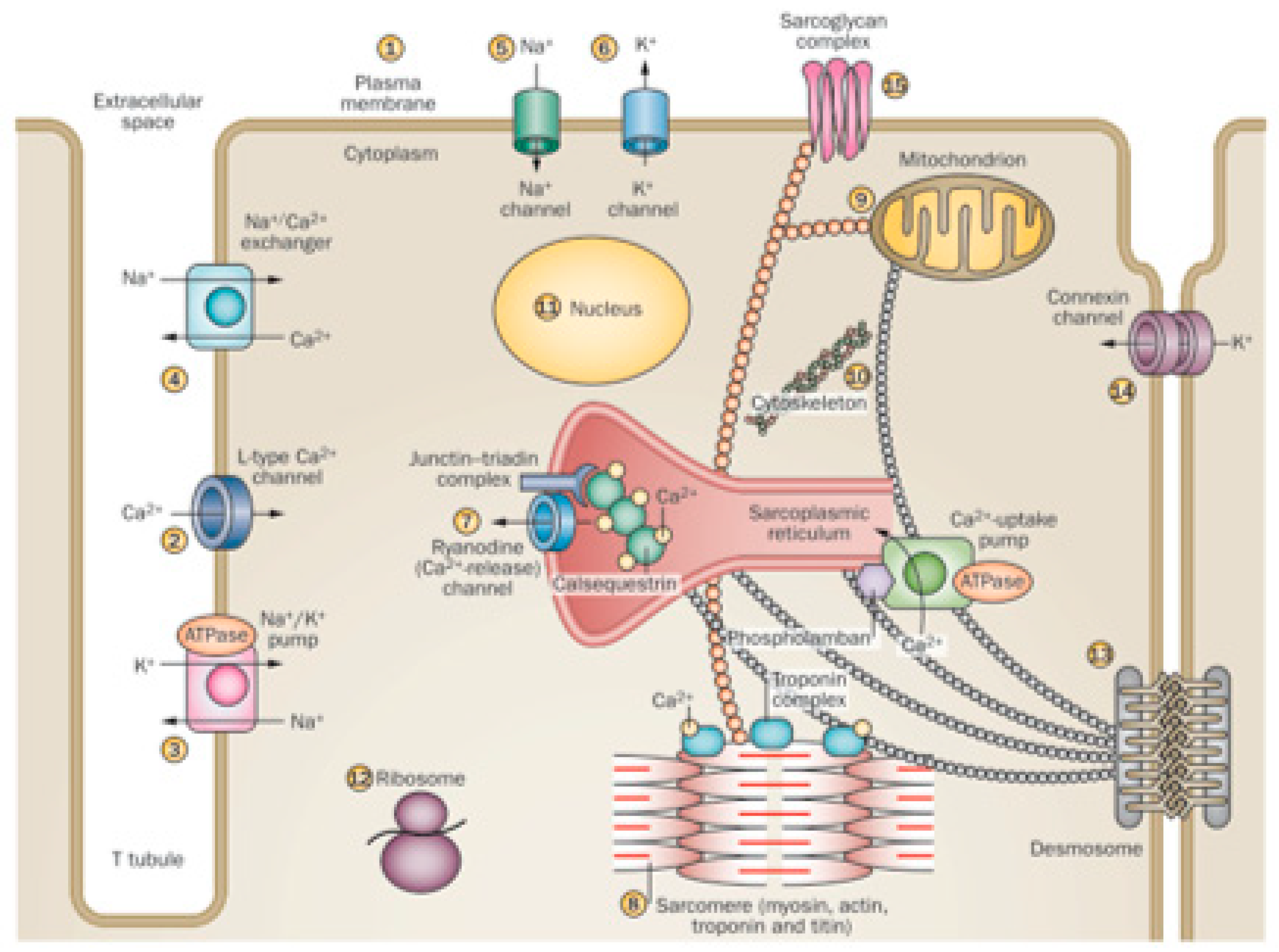Nutrients 12 00572 g001