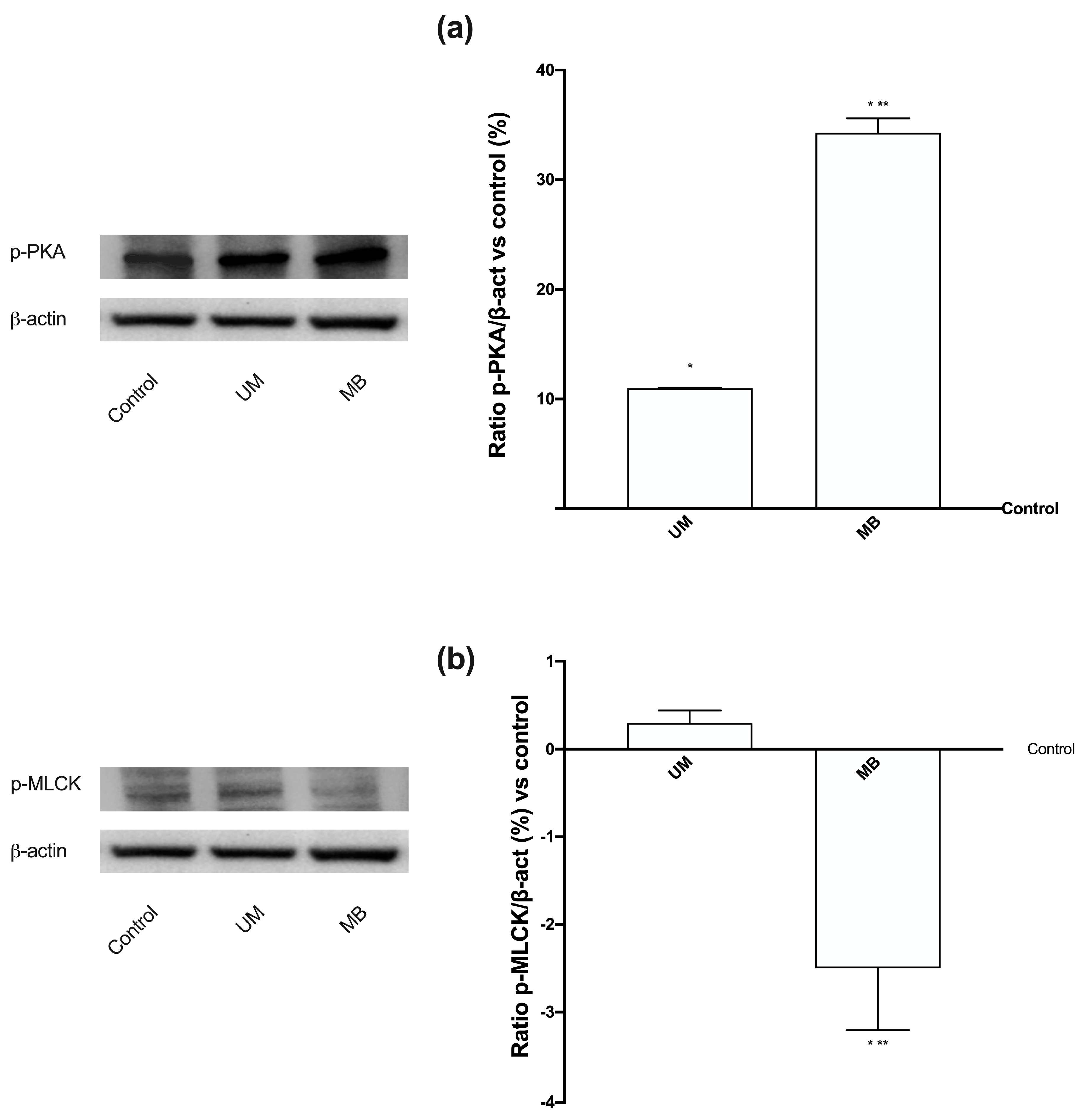 Nutrients 12 00573 g008