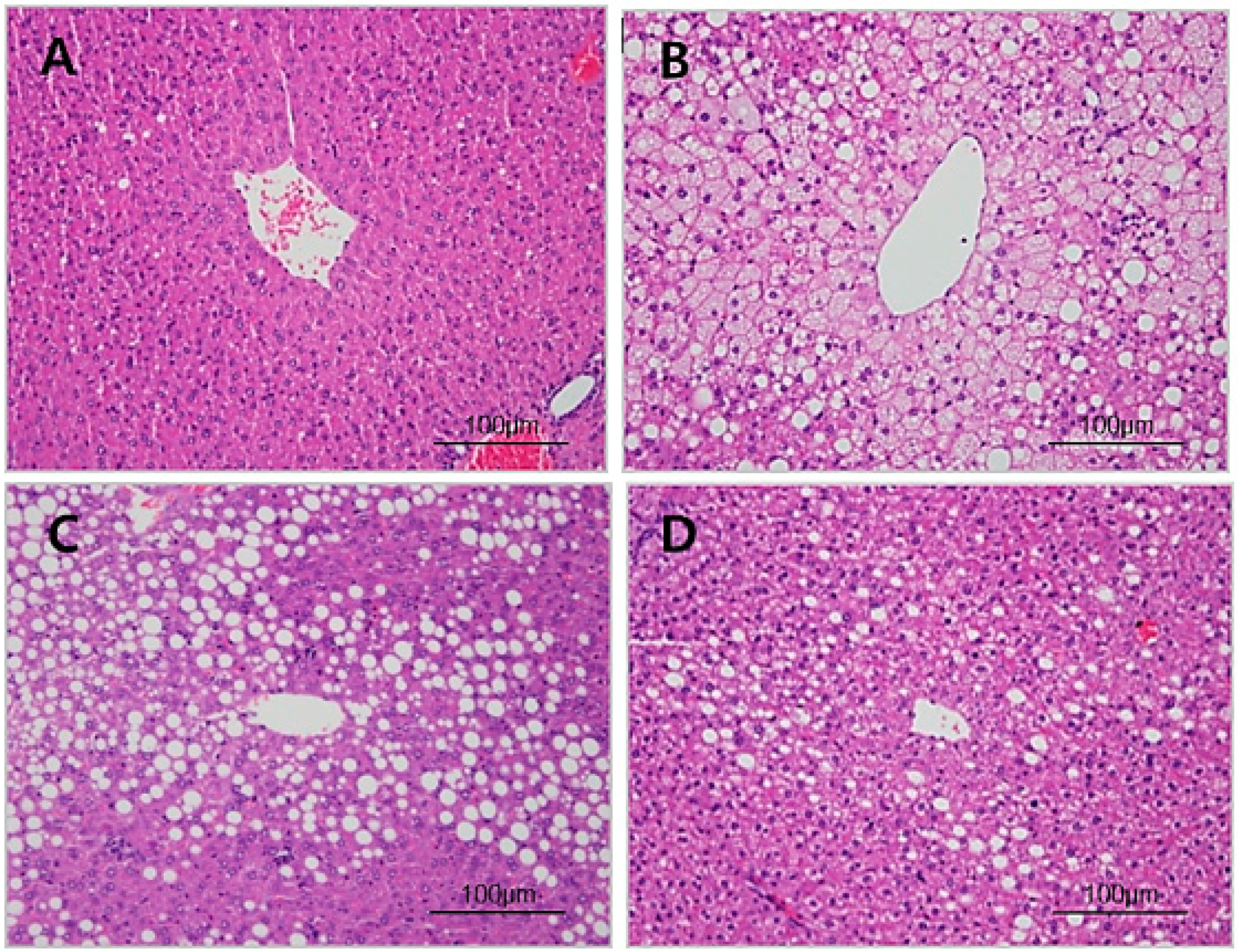 Nutrients 12 00604 g003 Nutrients 12 00604 g003