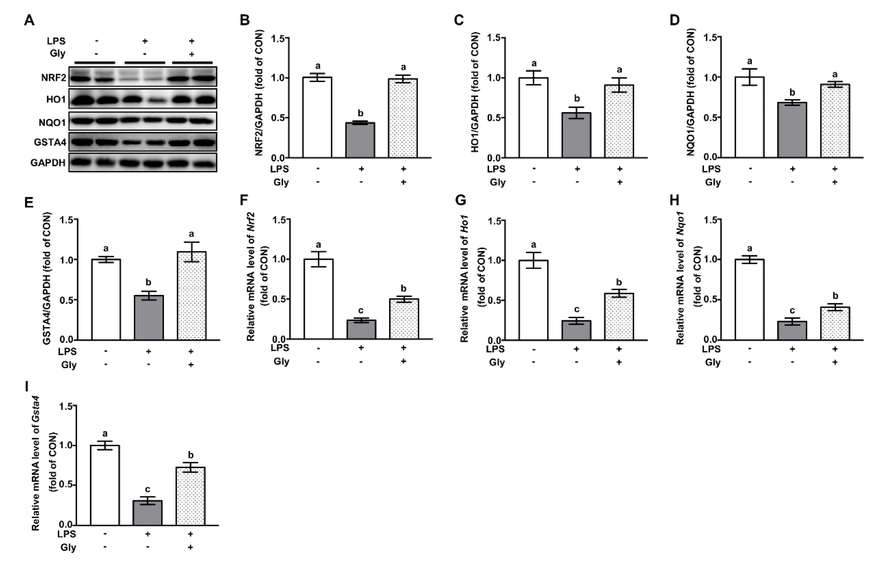 Nutrients 12 00611 g005