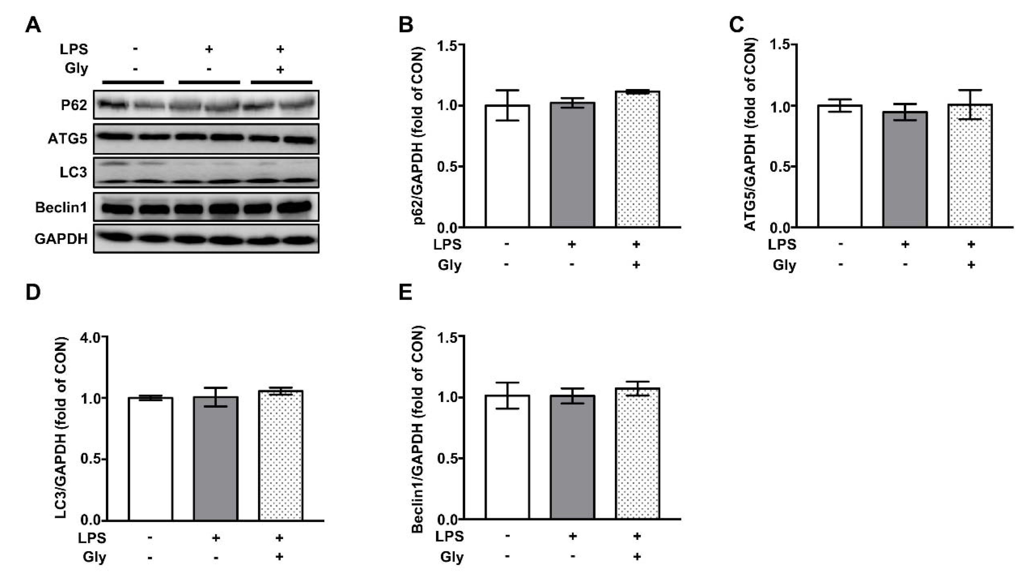 Nutrients 12 00611 g007