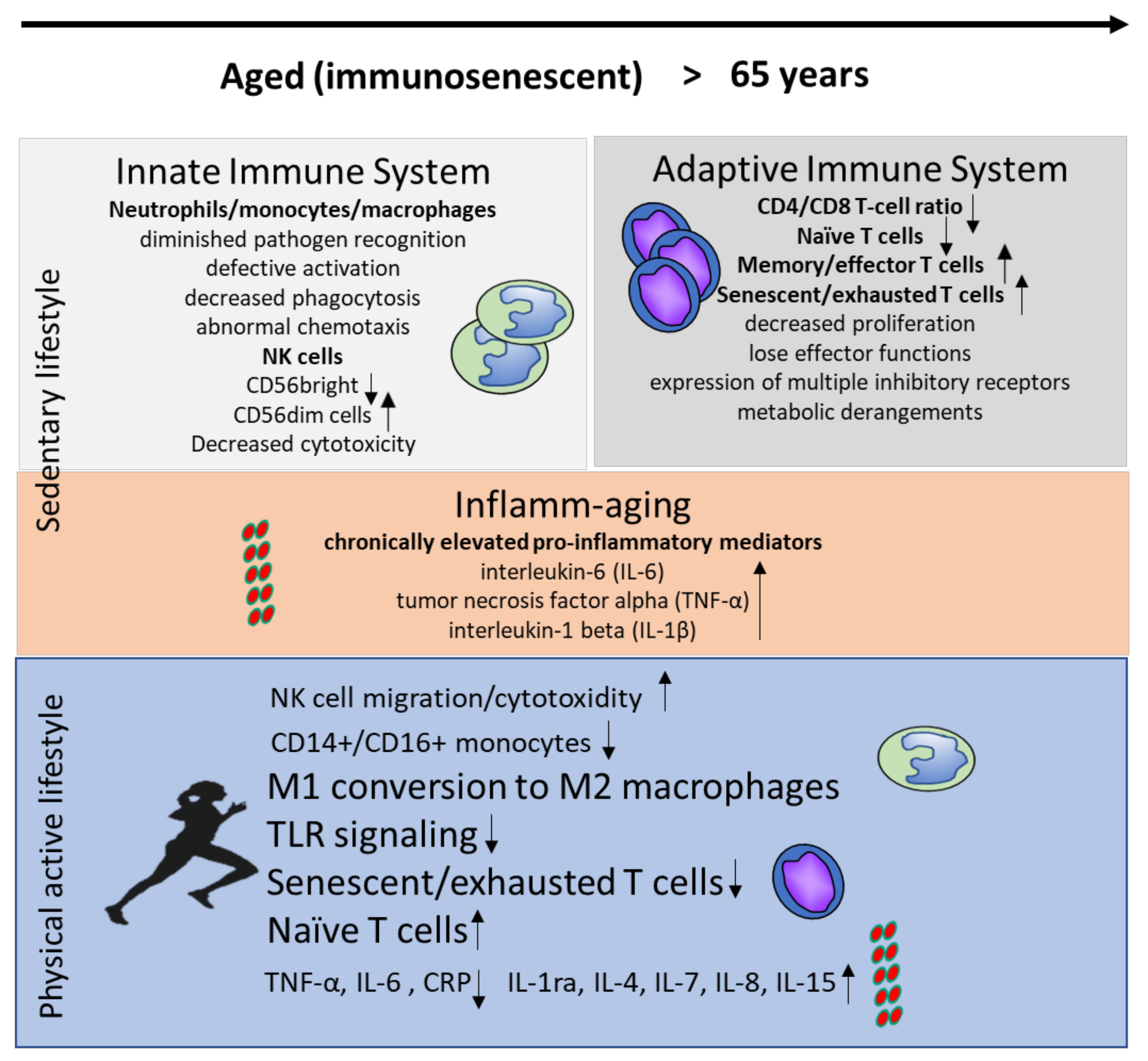 Nutrients 12 00622 g001