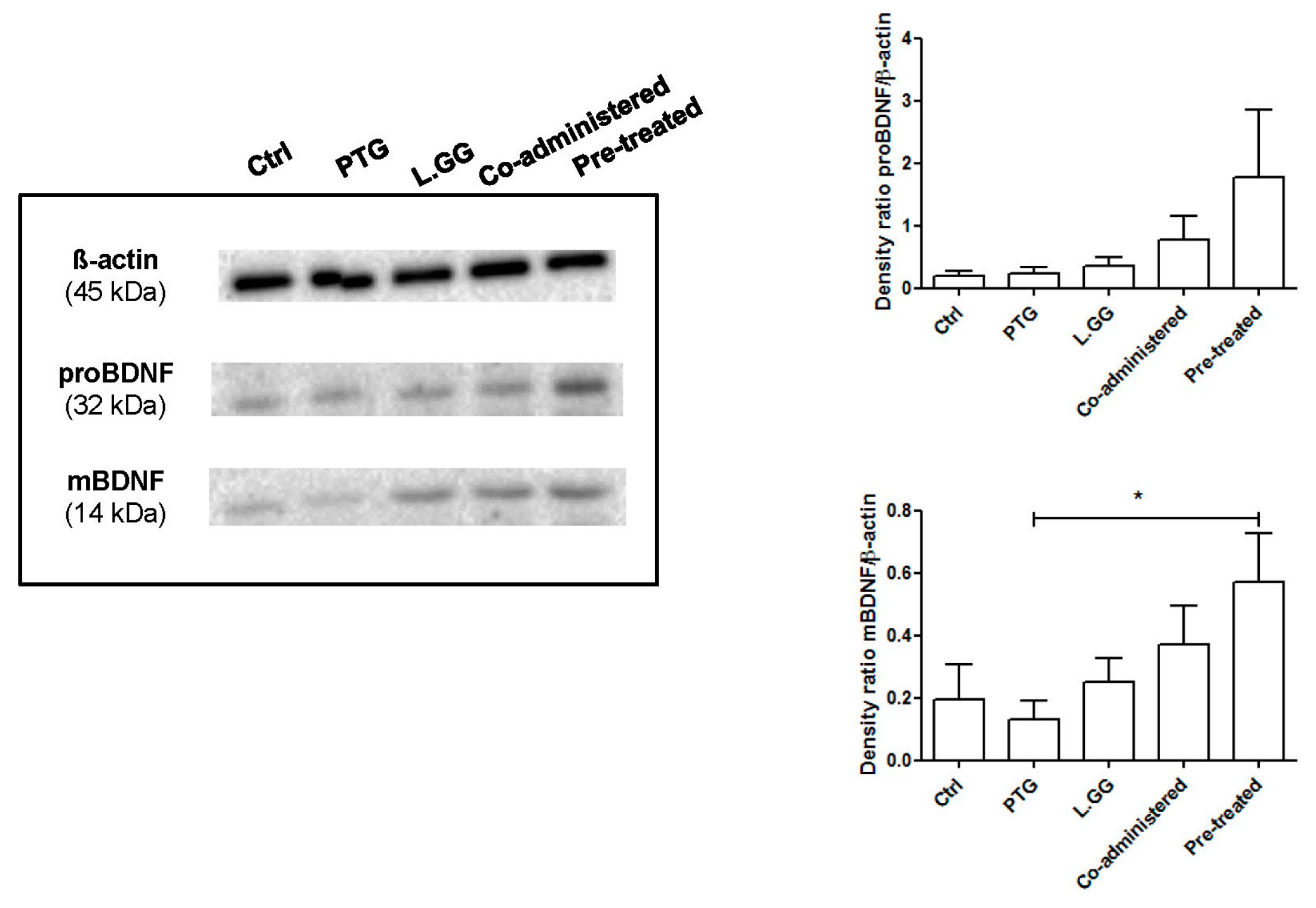 Nutrients 12 00629 g001