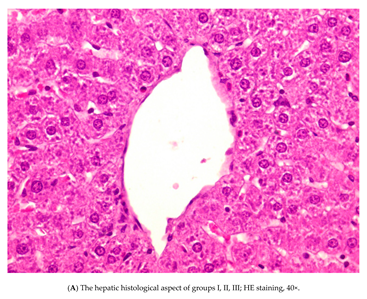 Nutrients 12 00632 g004a