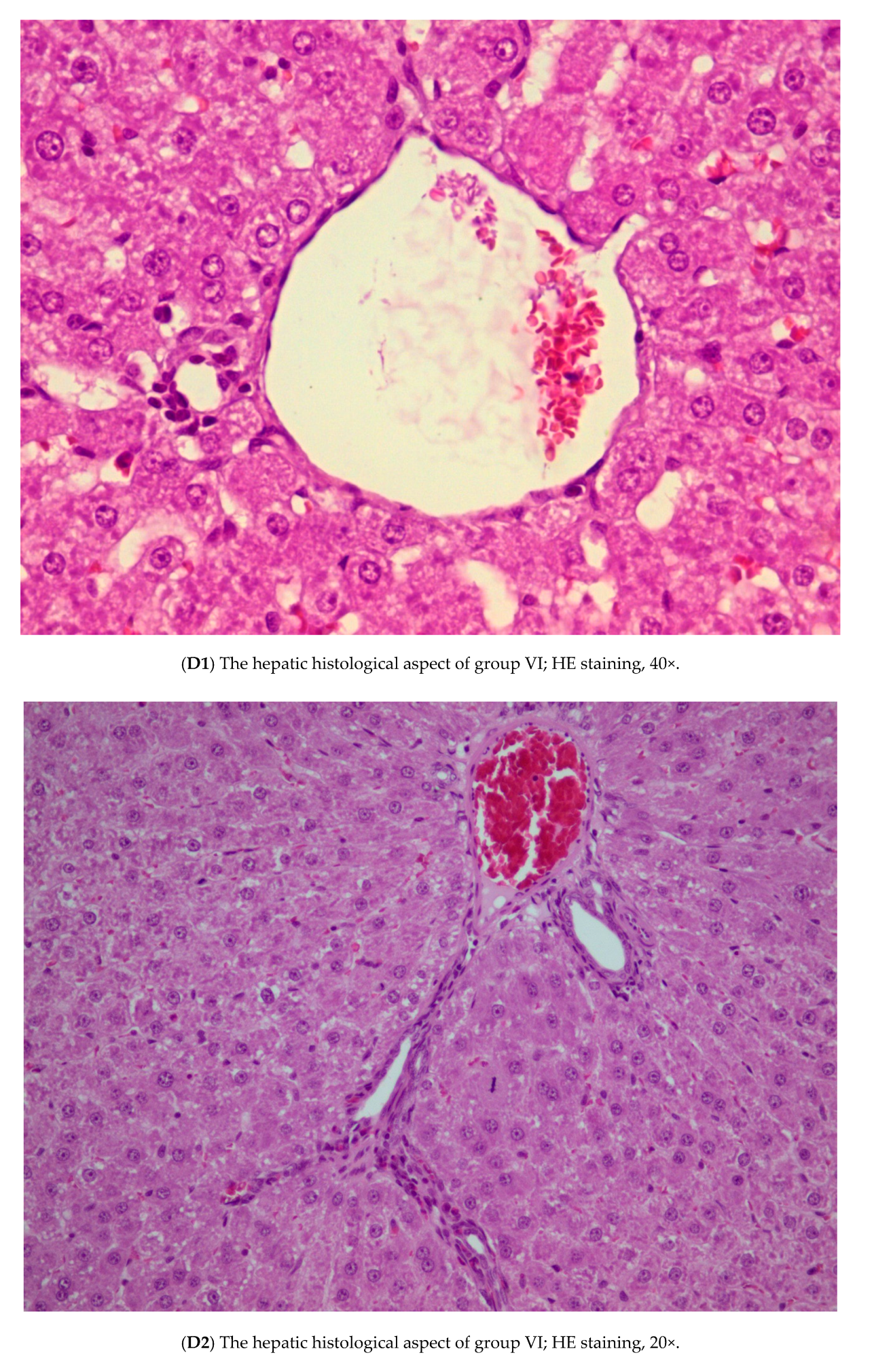 Nutrients 12 00632 g004d