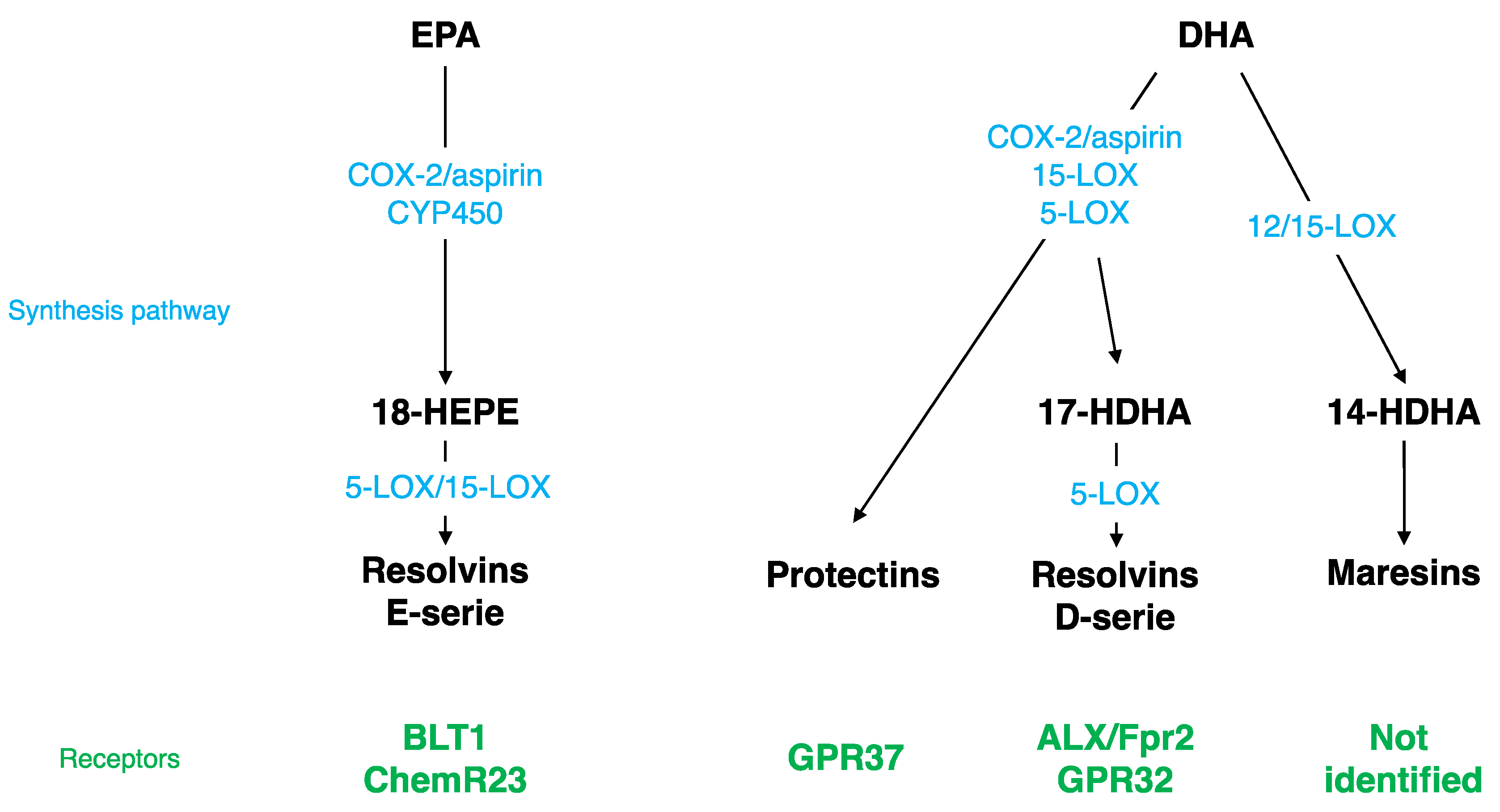 Nutrients 12 00647 g001