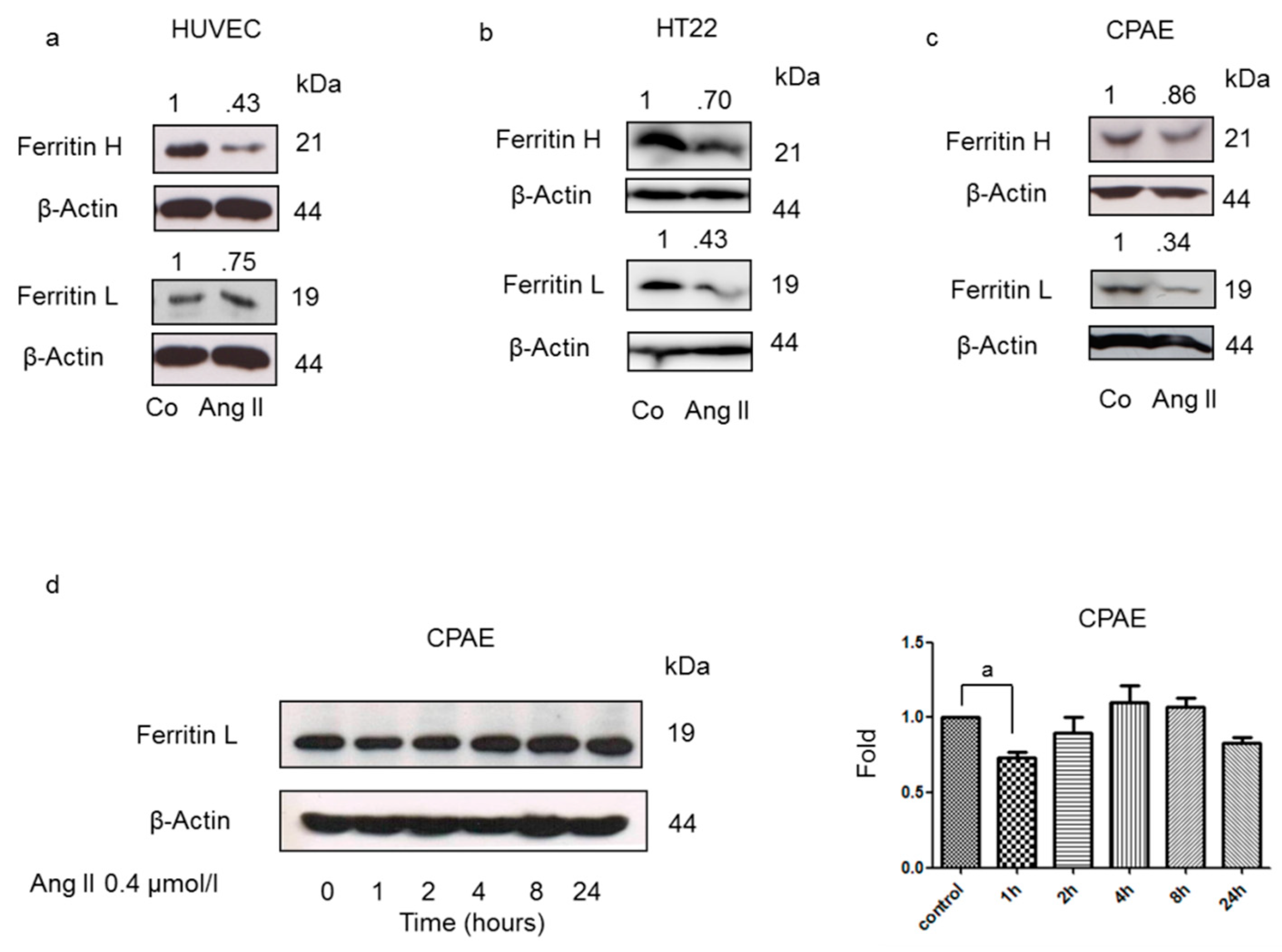 Nutrients 12 00668 g001 Nutrients 12 00668 g001
