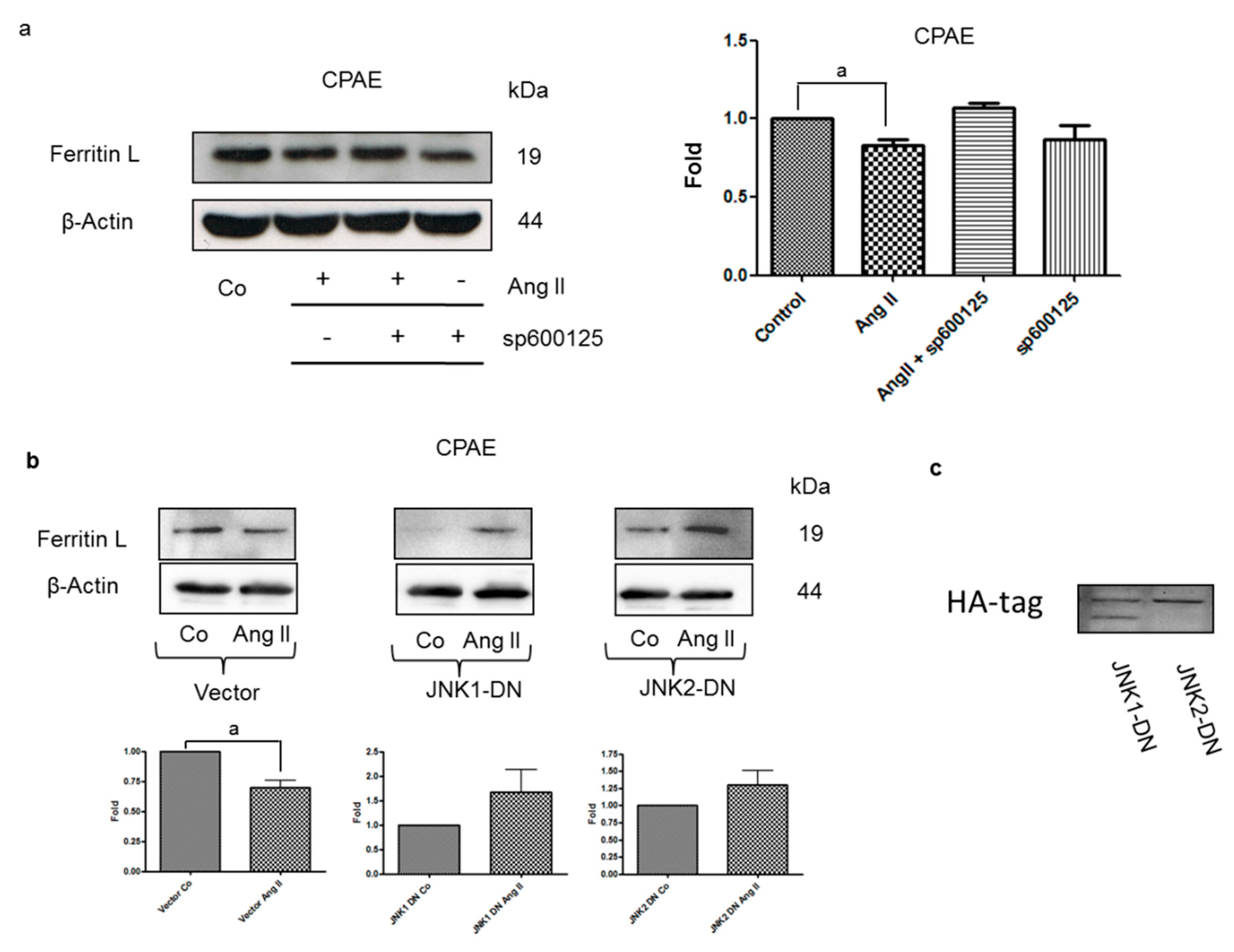 Nutrients 12 00668 g003 Nutrients 12 00668 g003
