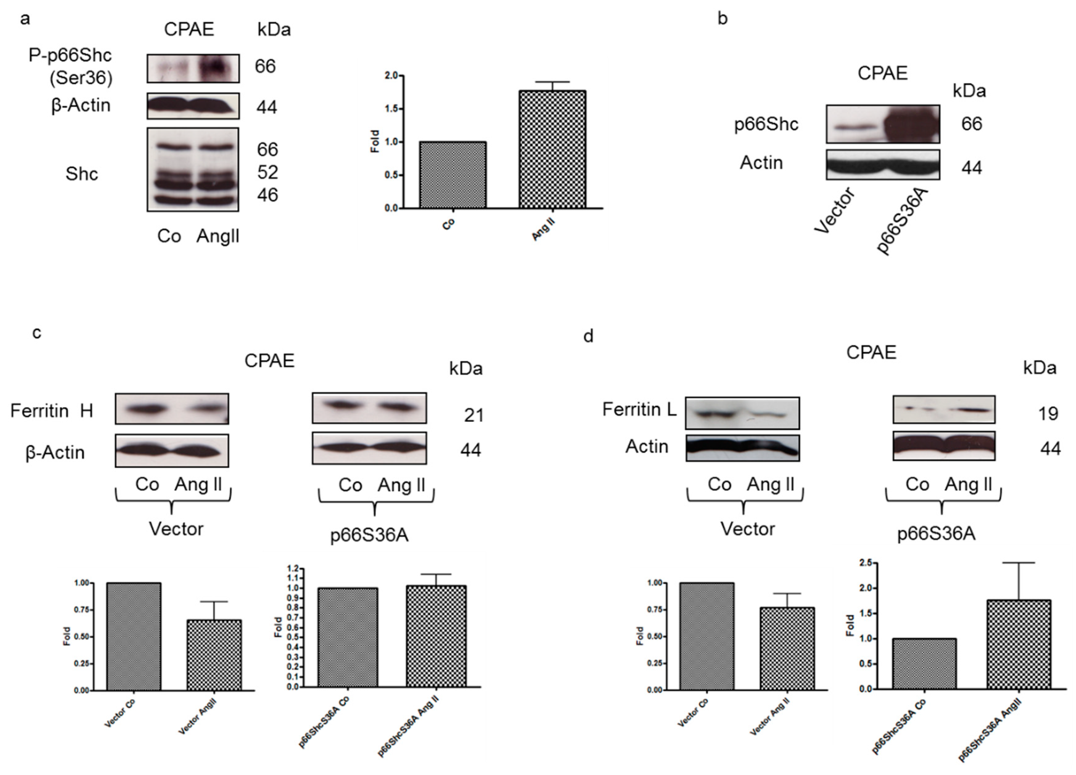 Nutrients 12 00668 g005 Nutrients 12 00668 g005