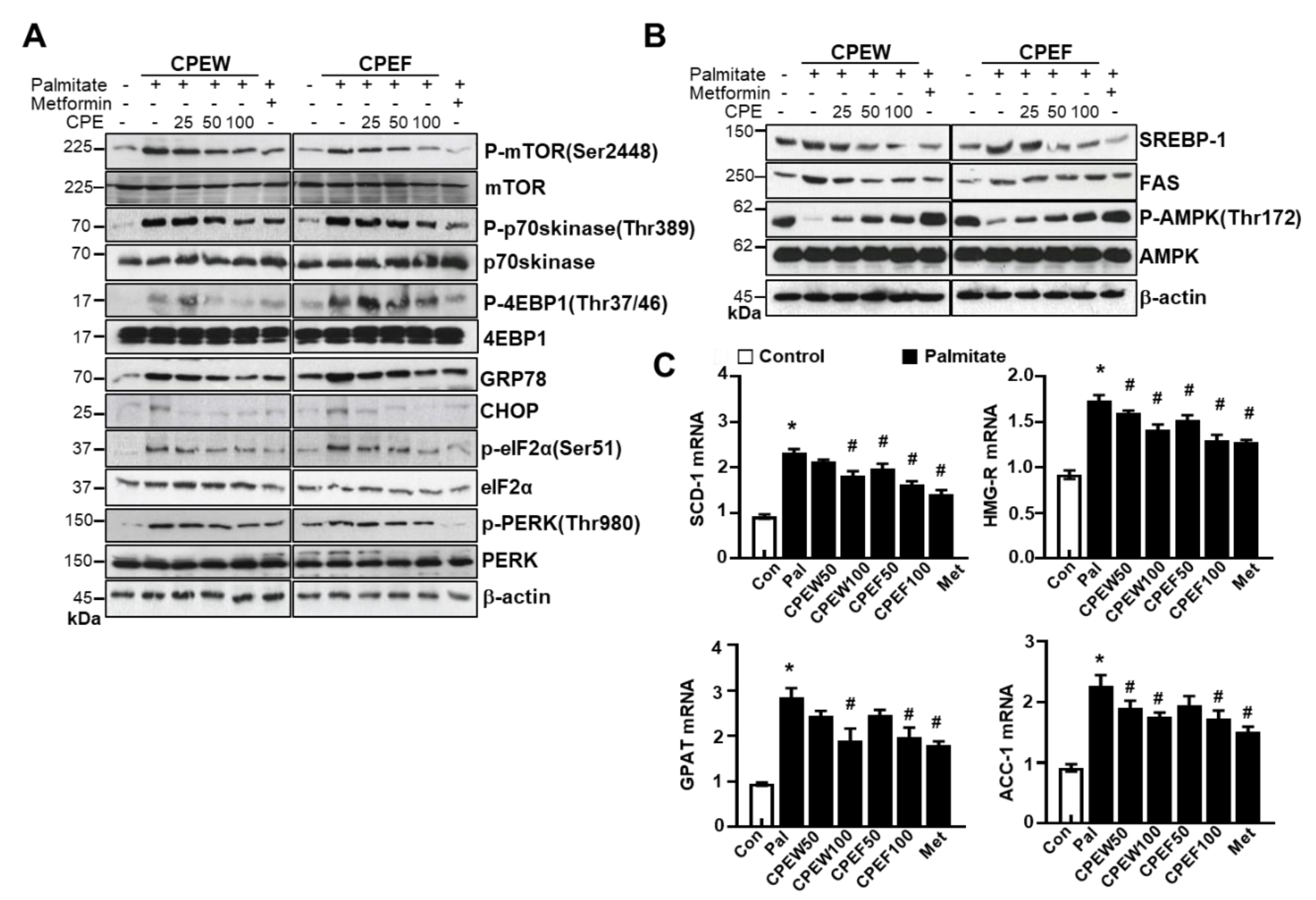 Nutrients 12 00673 g008