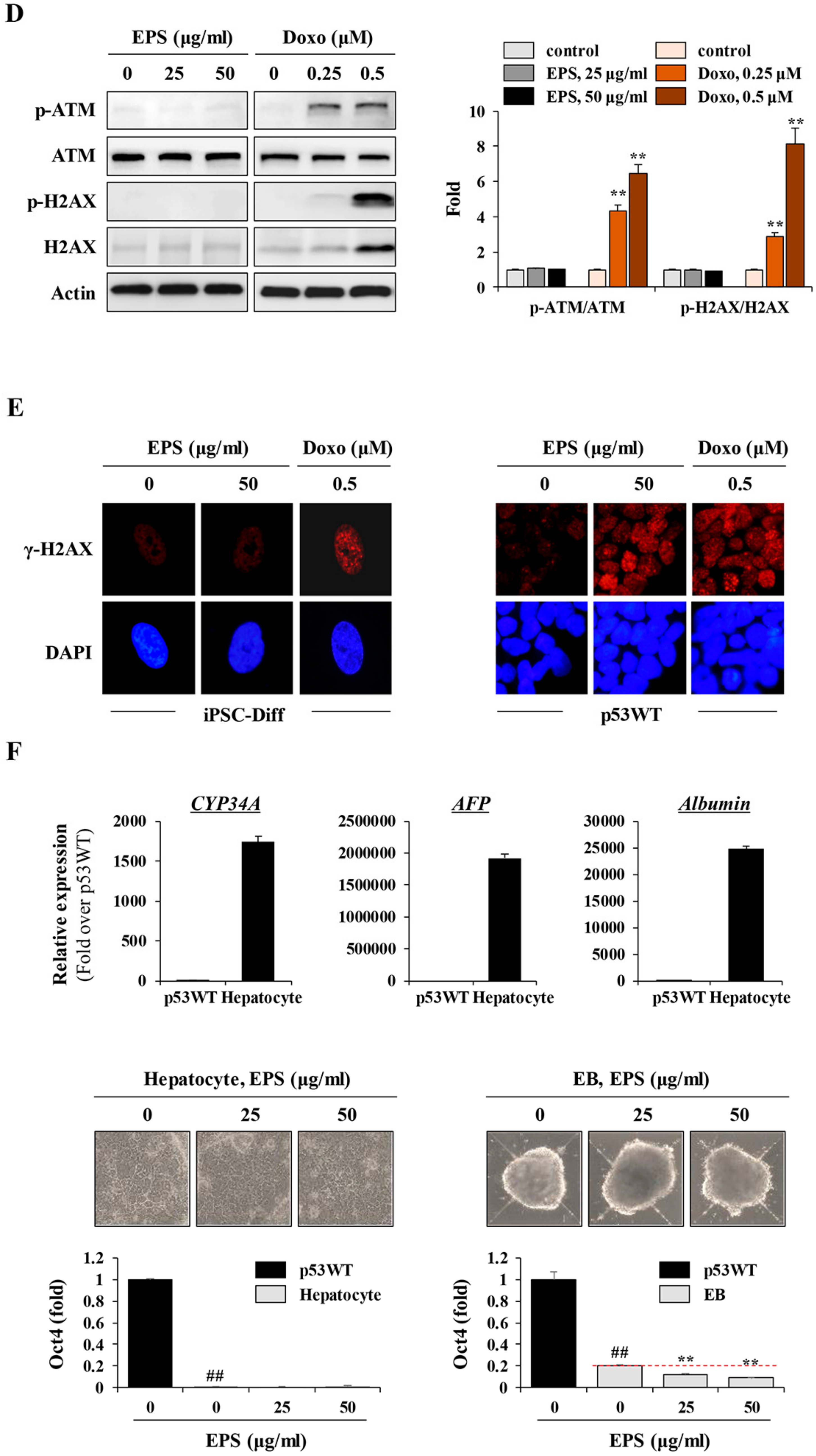 Nutrients 12 00721 g007b