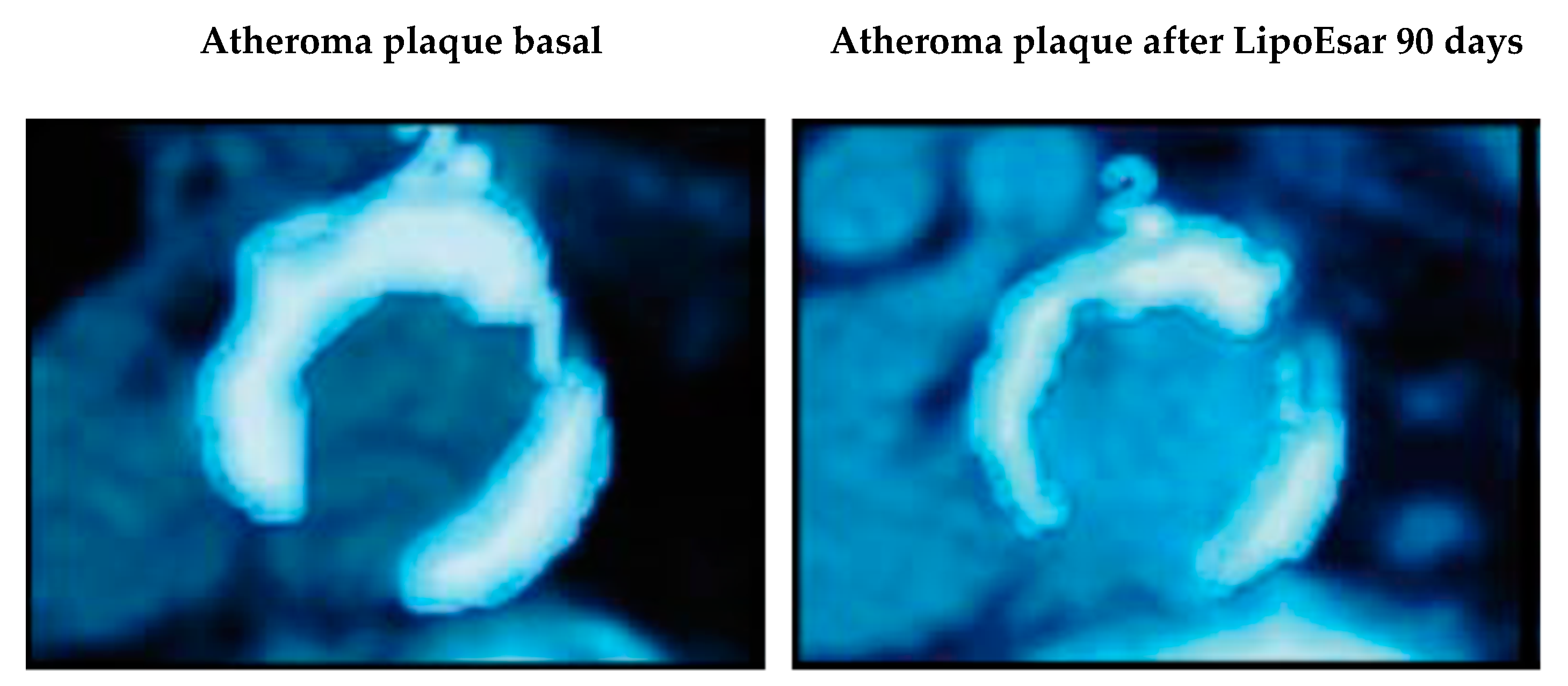 Nutrients 12 00747 g002 Nutrients 12 00747 g002