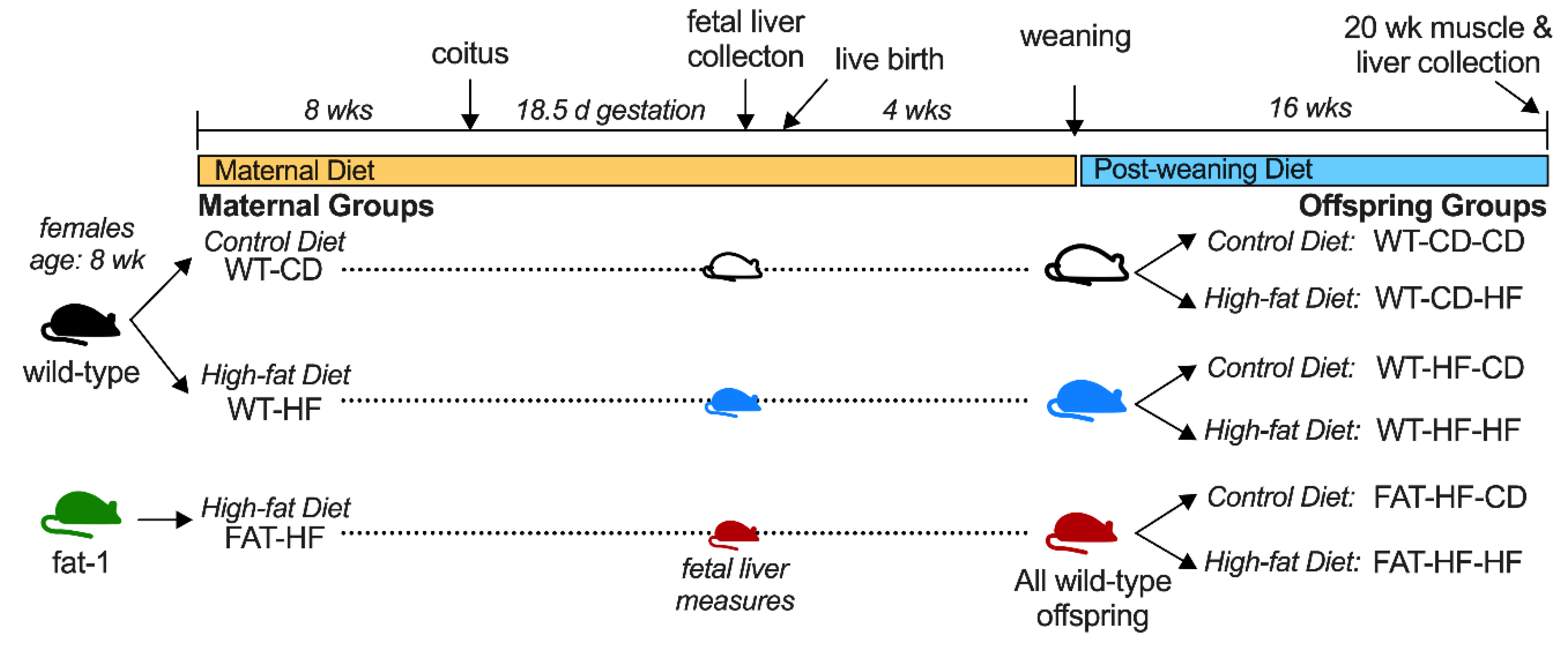 Nutrients 12 00767 g001