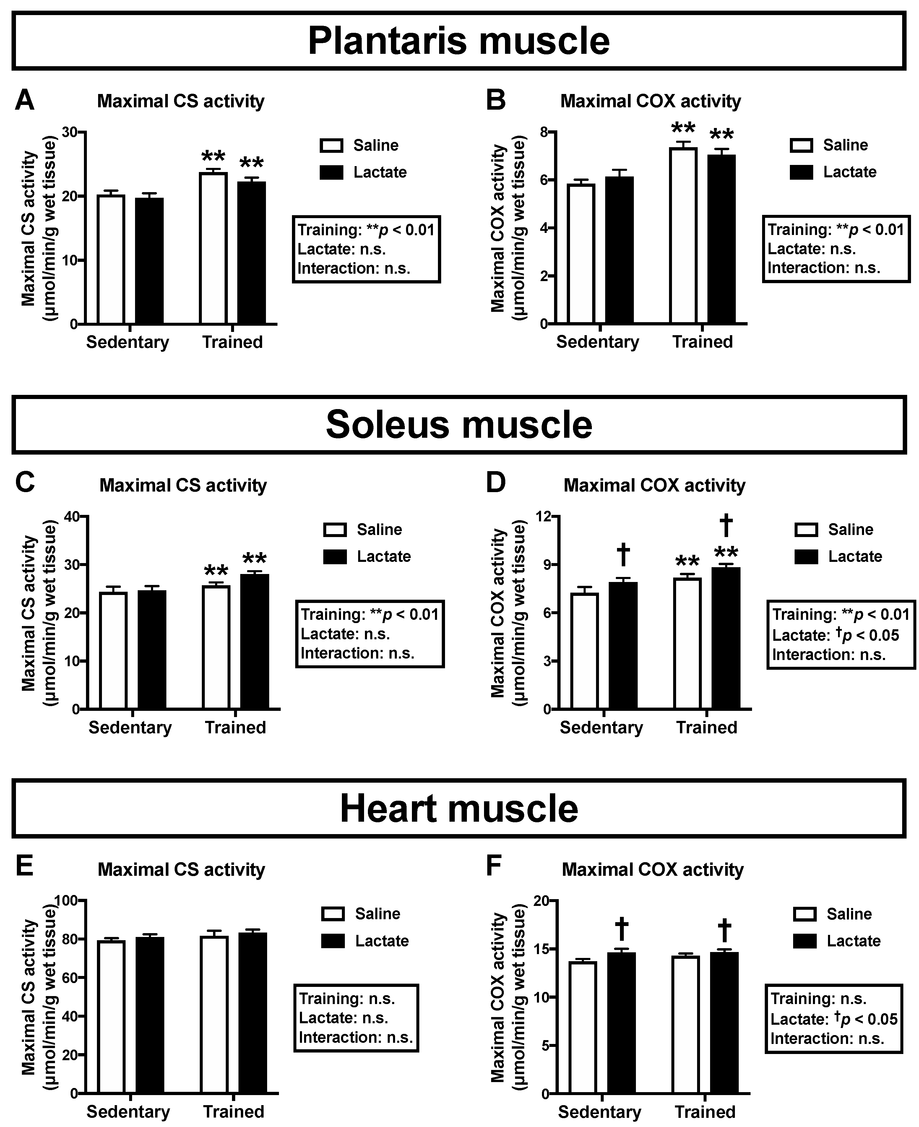 Nutrients 12 00770 g002
