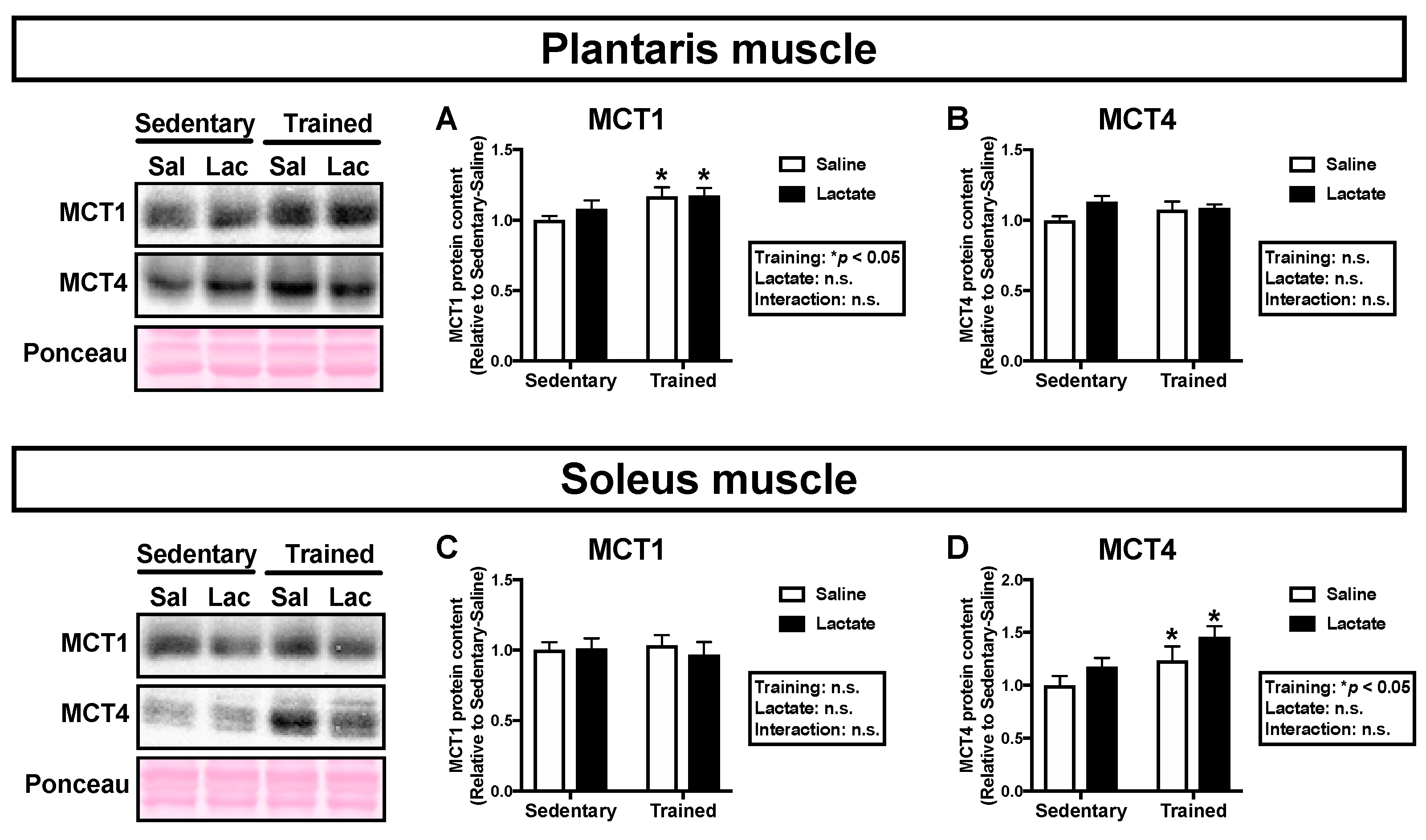 Nutrients 12 00770 g003