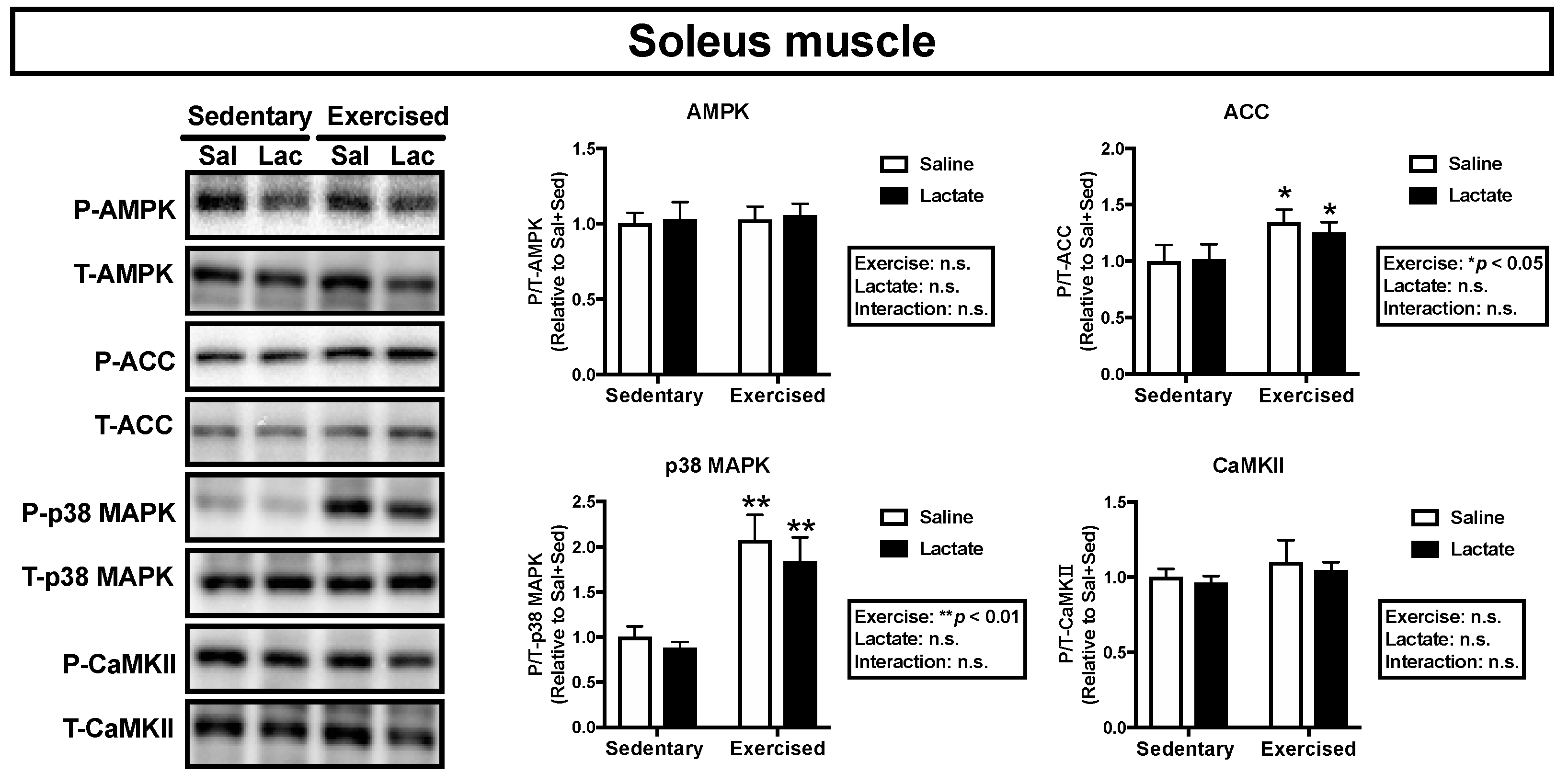 Nutrients 12 00770 g005