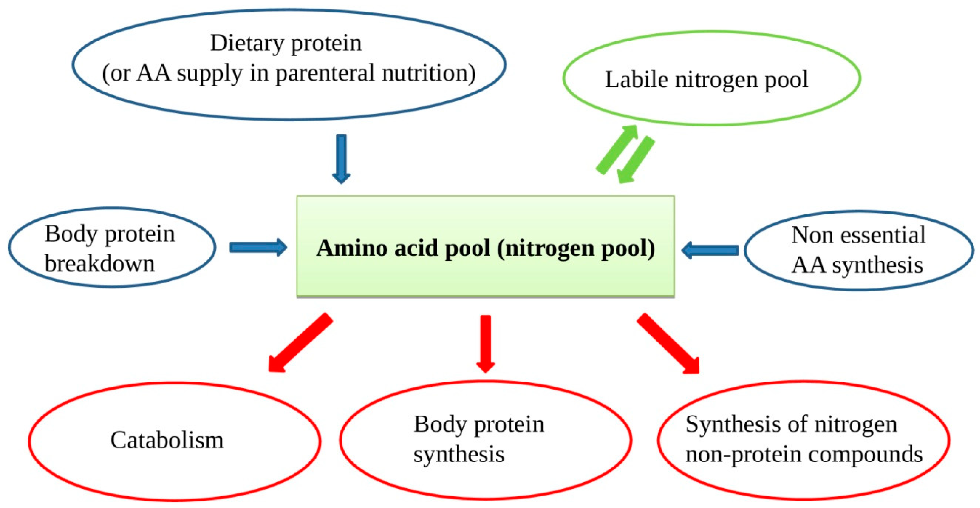 Nutrients 12 00772 g001
