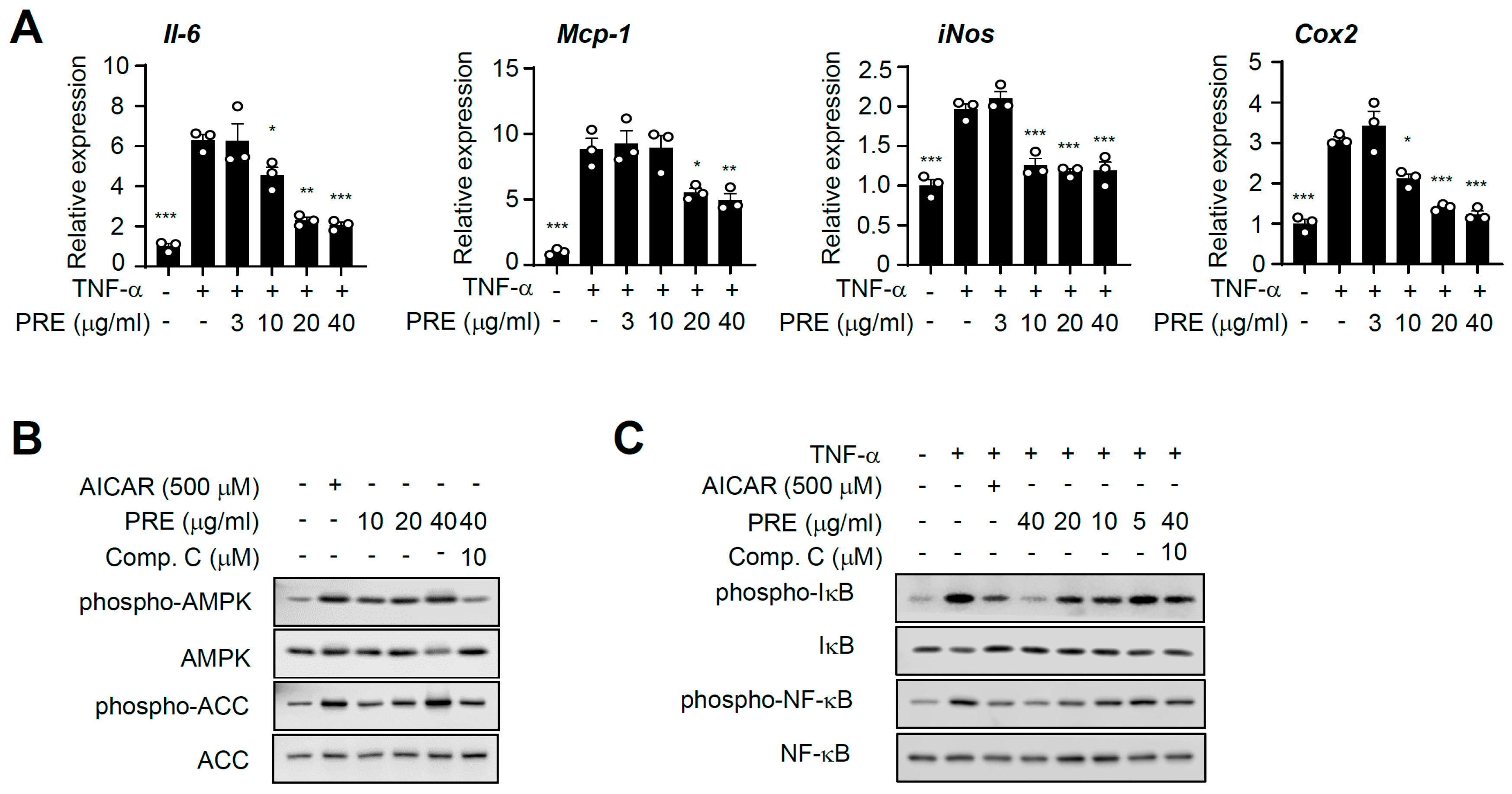 Nutrients 12 00773 g002