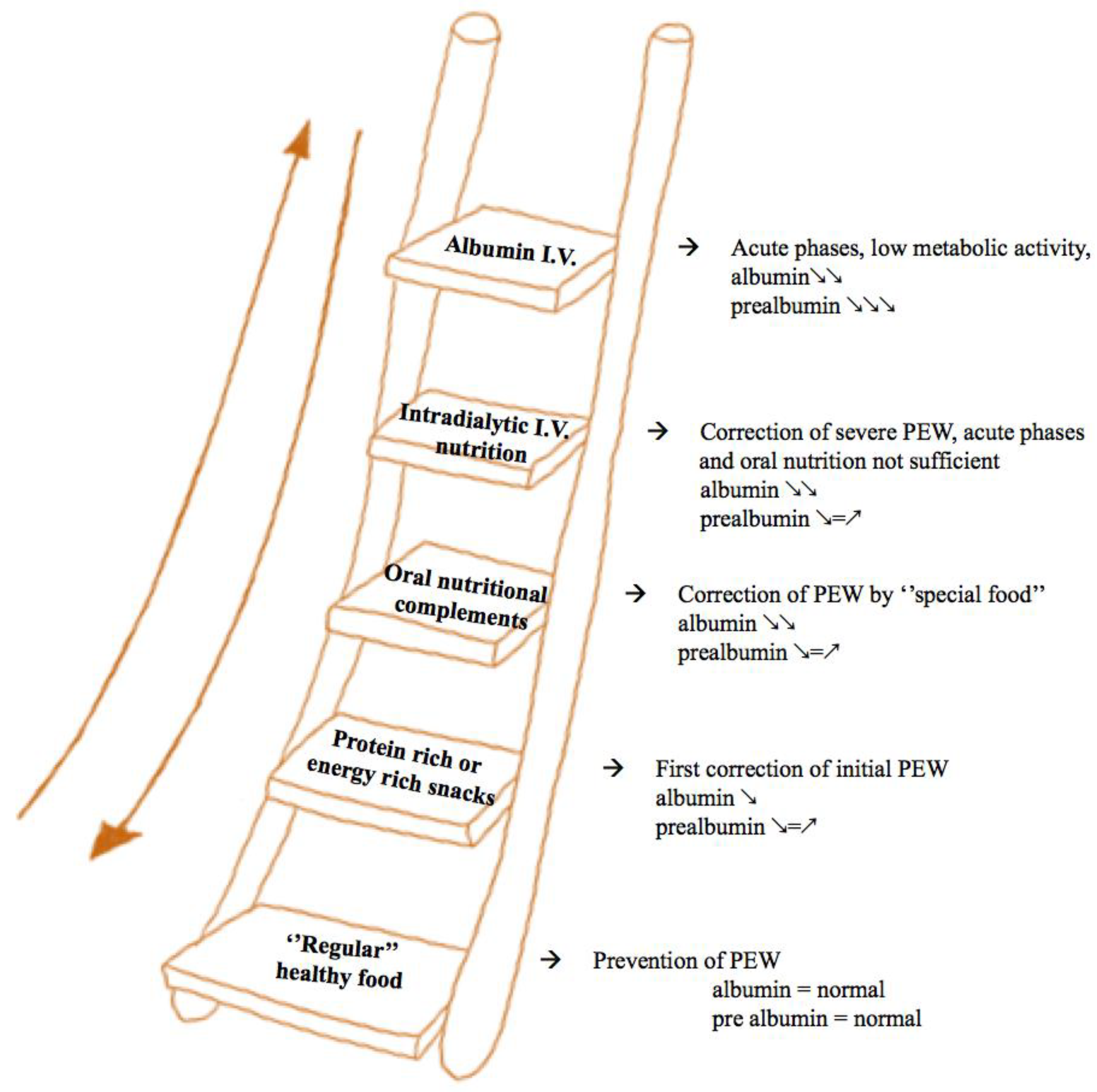 Nutrients 12 00785 g003