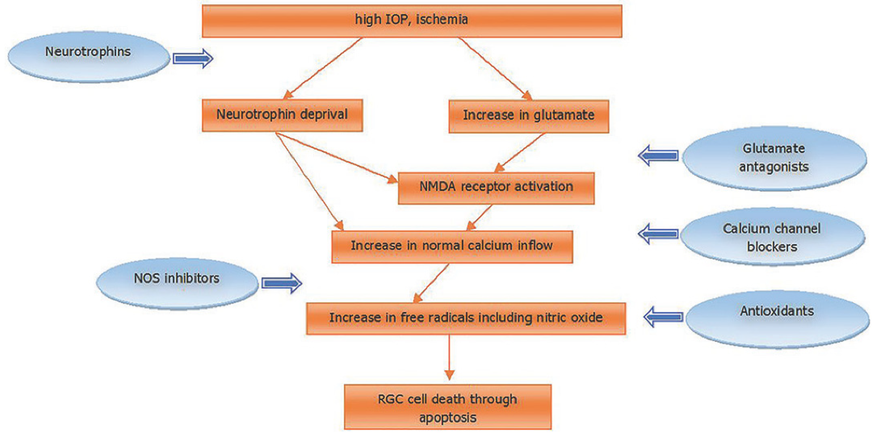 Nutrients 12 00793 g001