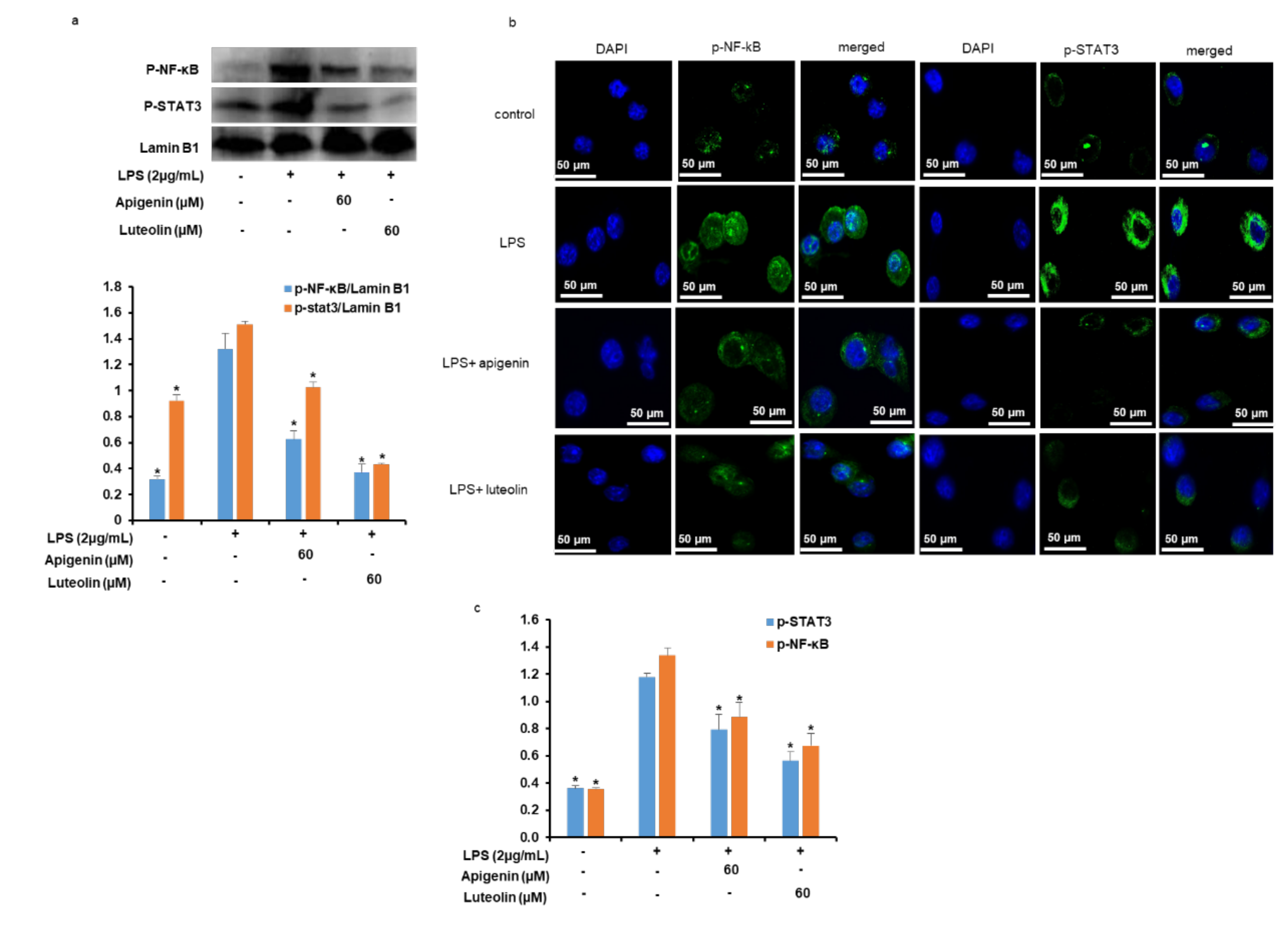 Nutrients 12 00811 g006