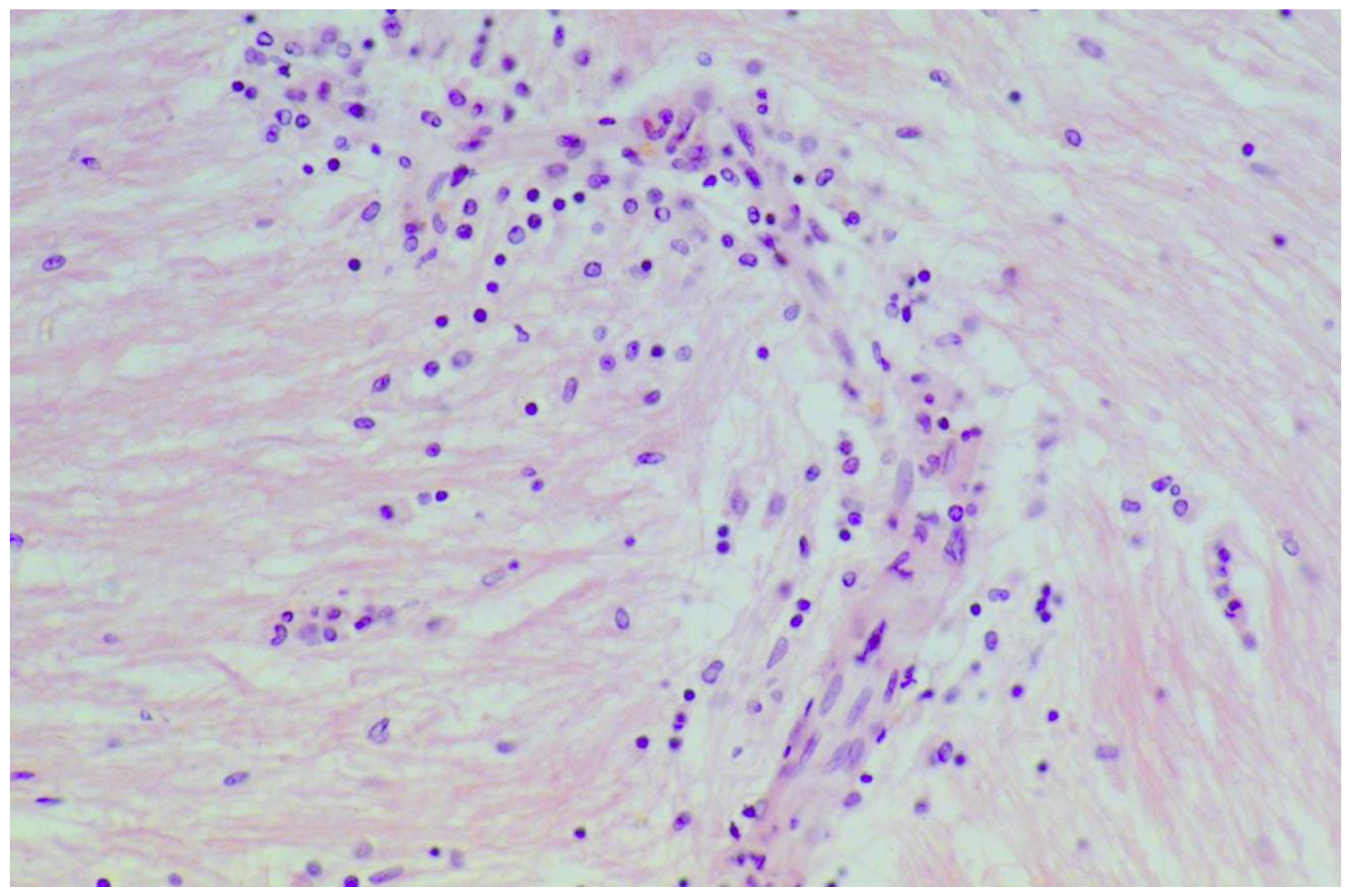 Nutrients 12 00822 g005