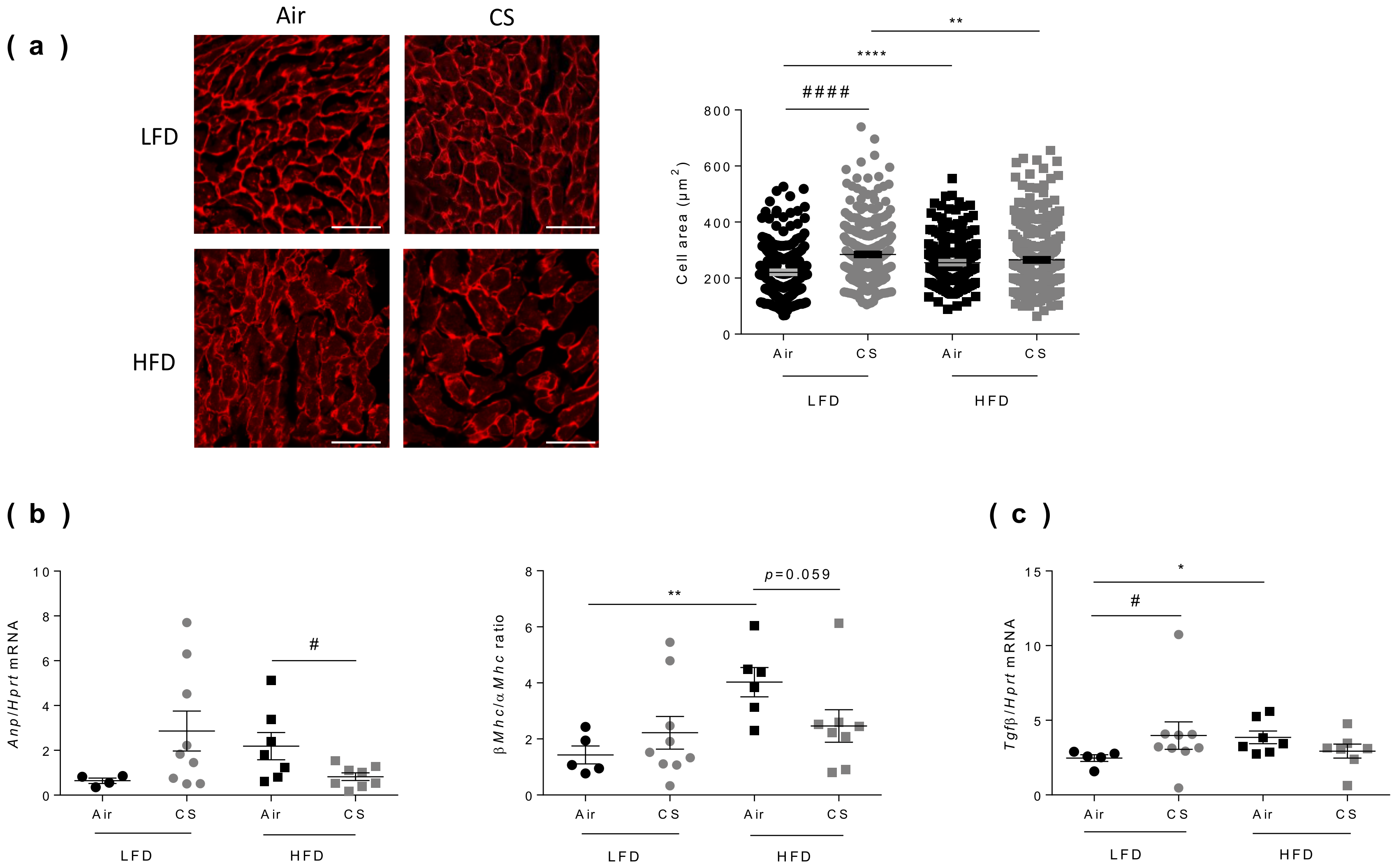 Nutrients 12 00827 g005 Nutrients 12 00827 g005