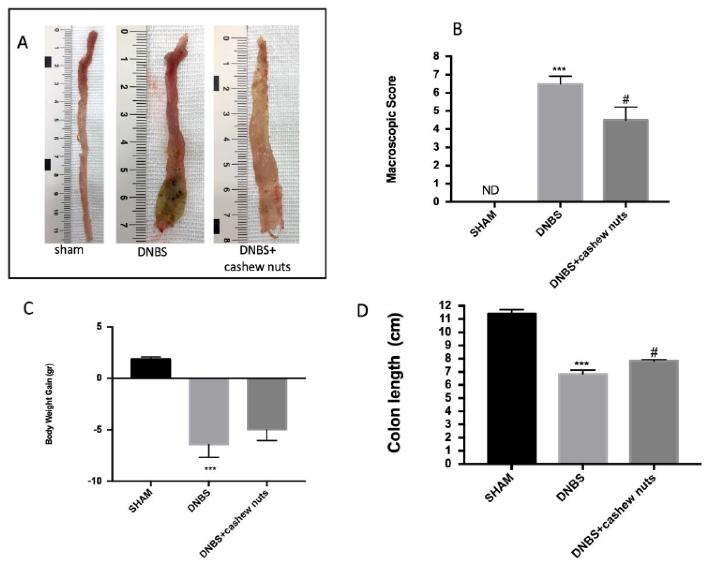 Nutrients 12 00834 g002 Nutrients 12 00834 g002