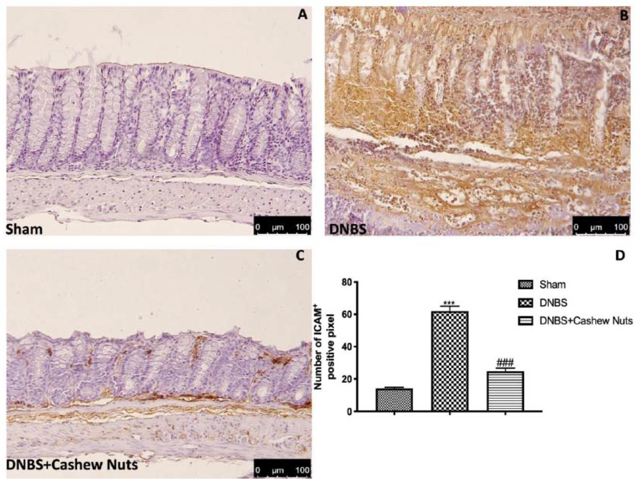 Nutrients 12 00834 g008 Nutrients 12 00834 g008