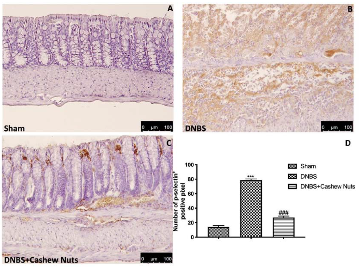 Nutrients 12 00834 g009 Nutrients 12 00834 g009