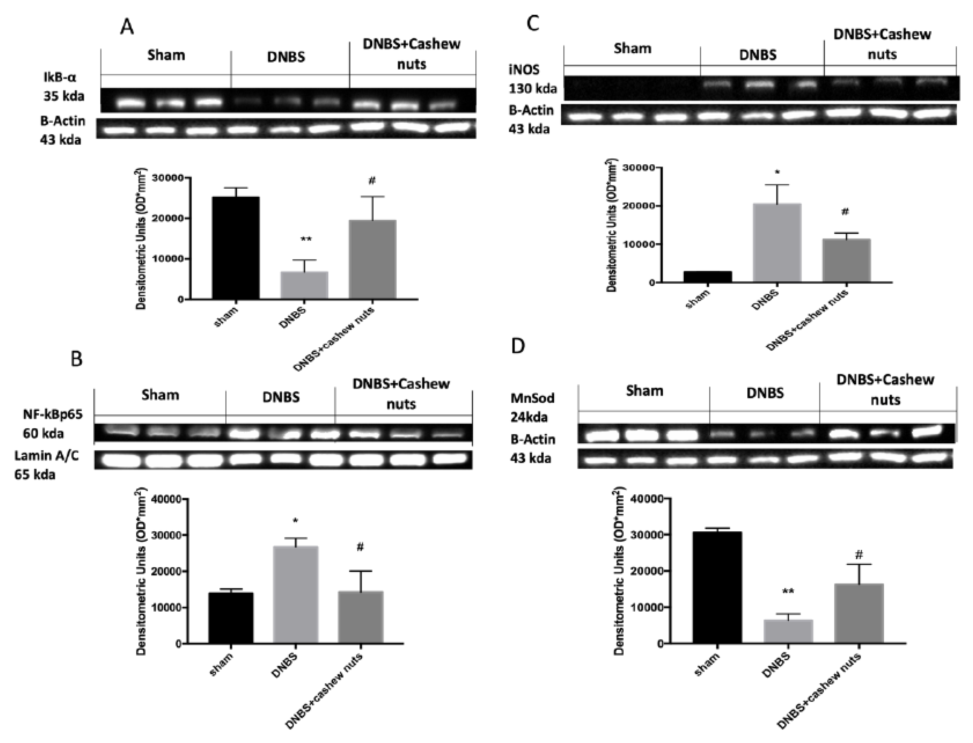 Nutrients 12 00834 g010 Nutrients 12 00834 g010