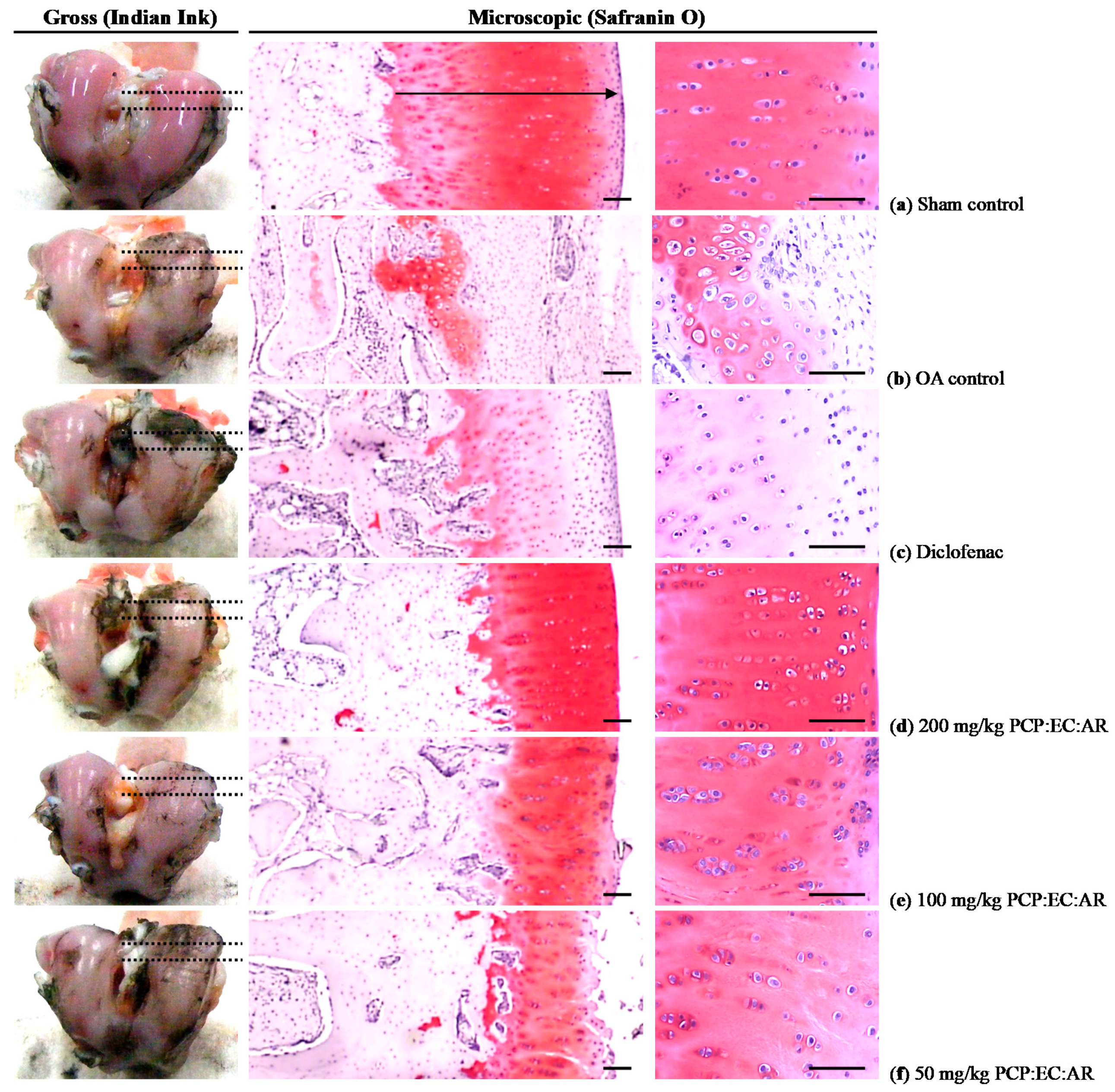 Nutrients 12 00852 g004 Nutrients 12 00852 g004