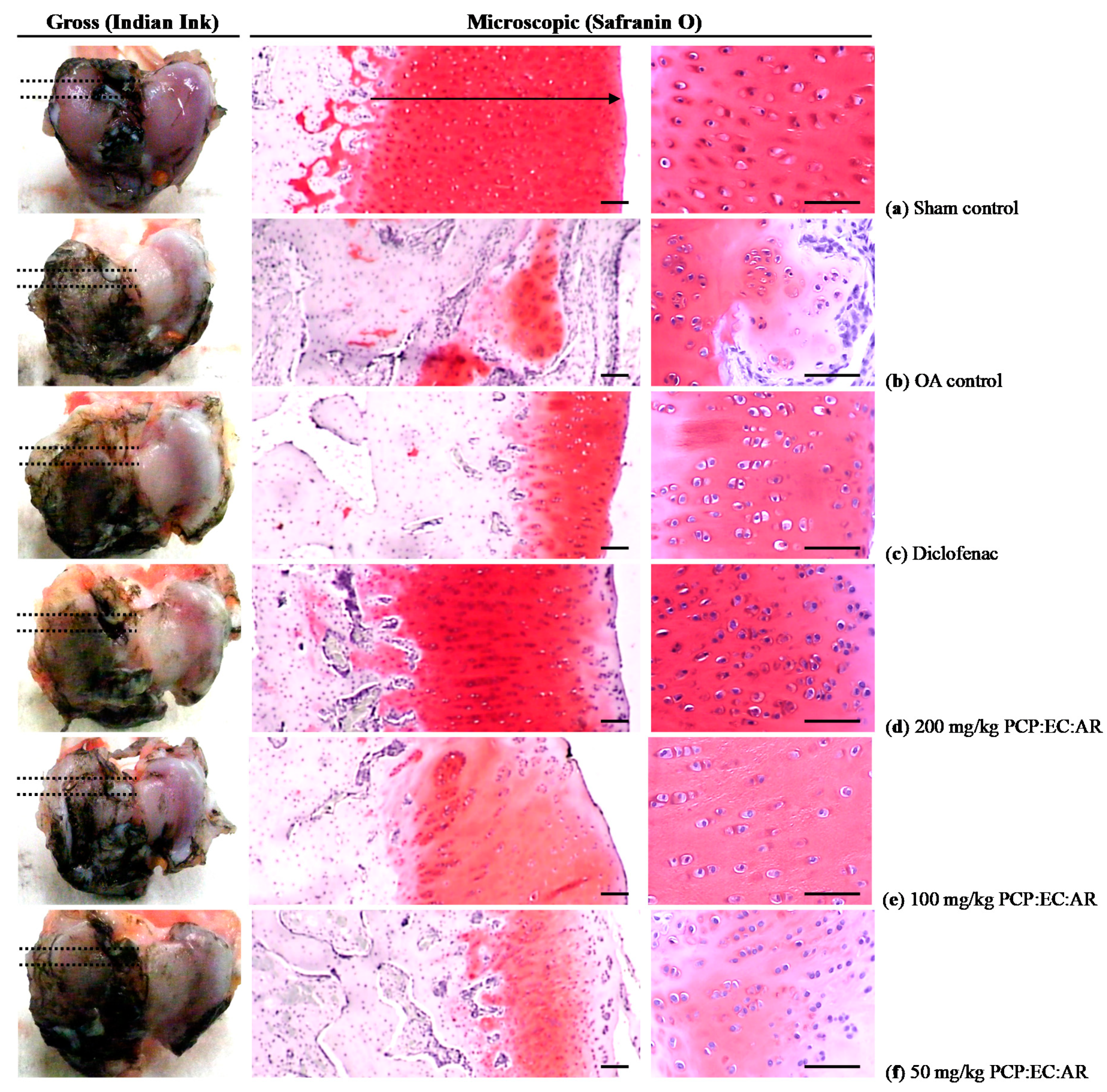 Nutrients 12 00852 g005 Nutrients 12 00852 g005