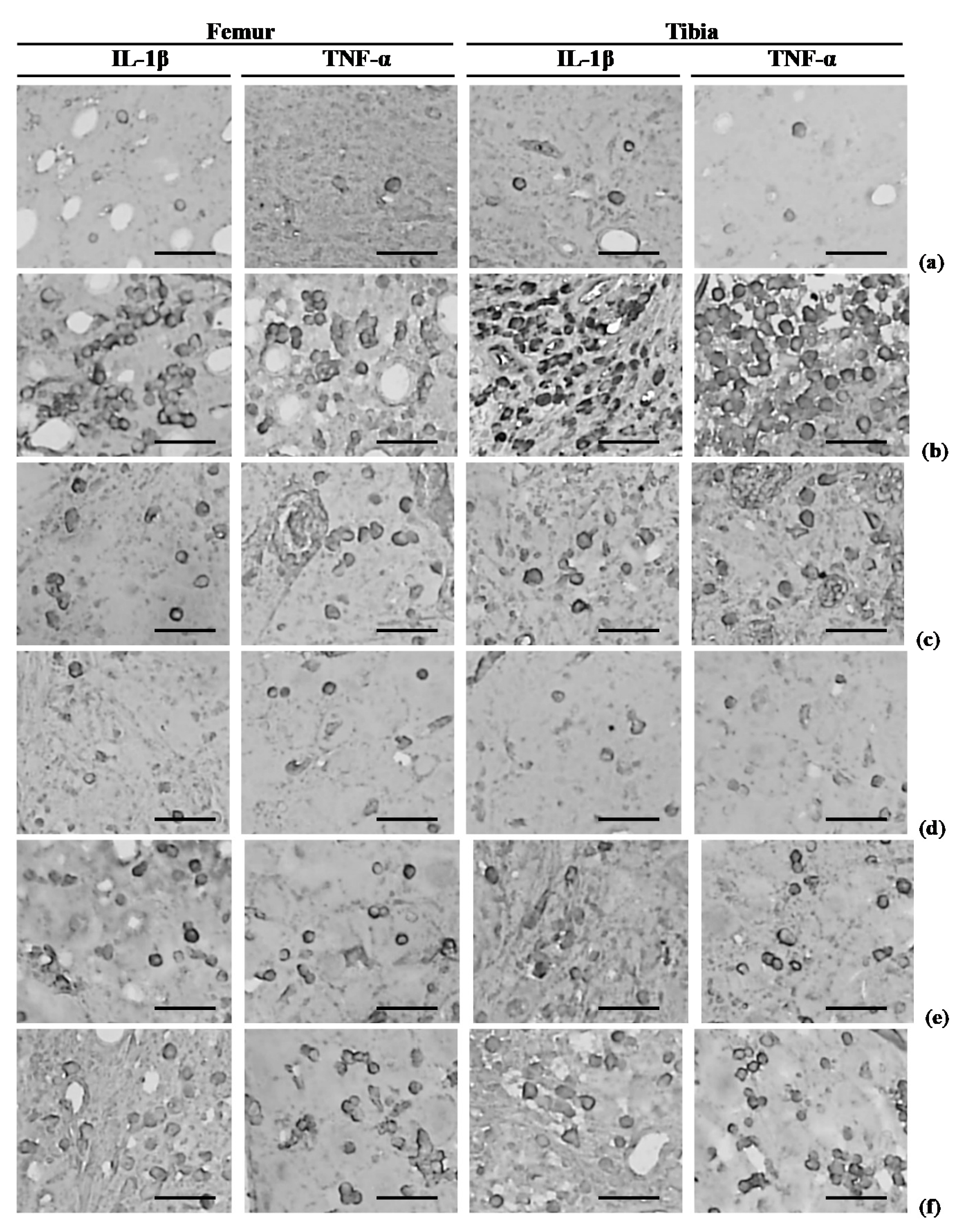 Nutrients 12 00852 g007 Nutrients 12 00852 g007