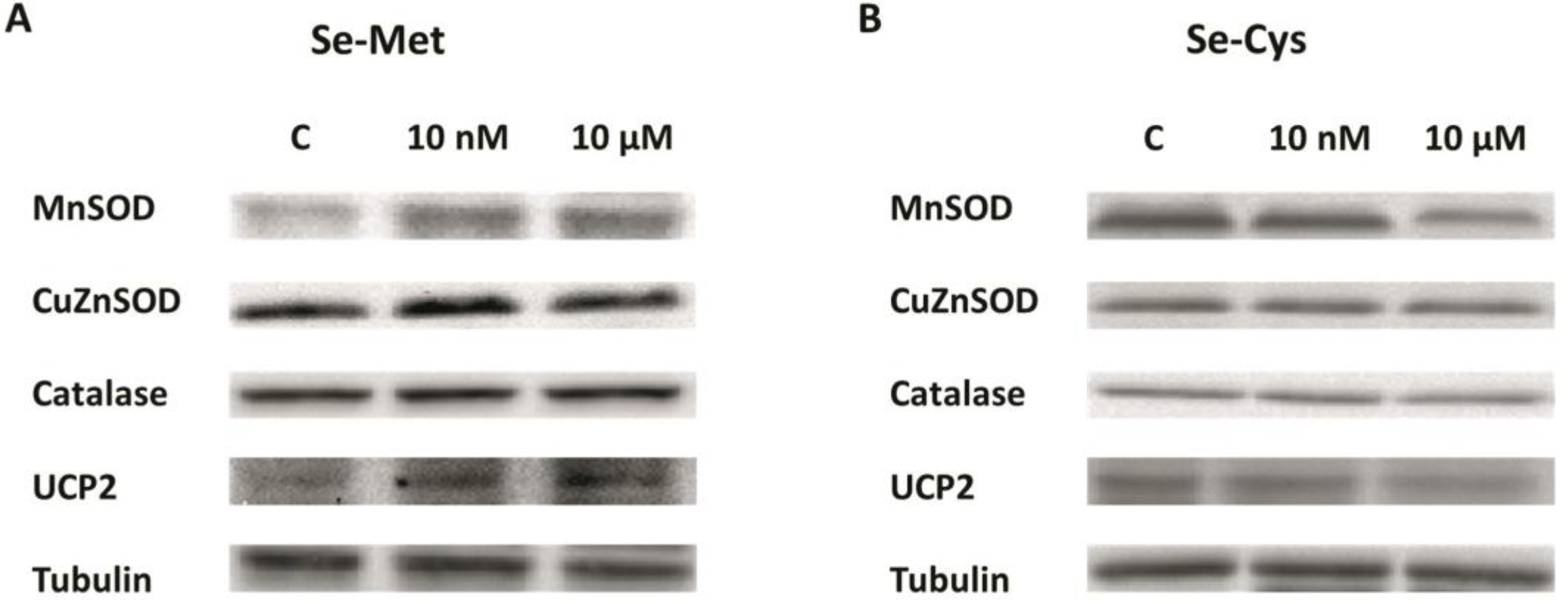 Nutrients 12 00865 g003