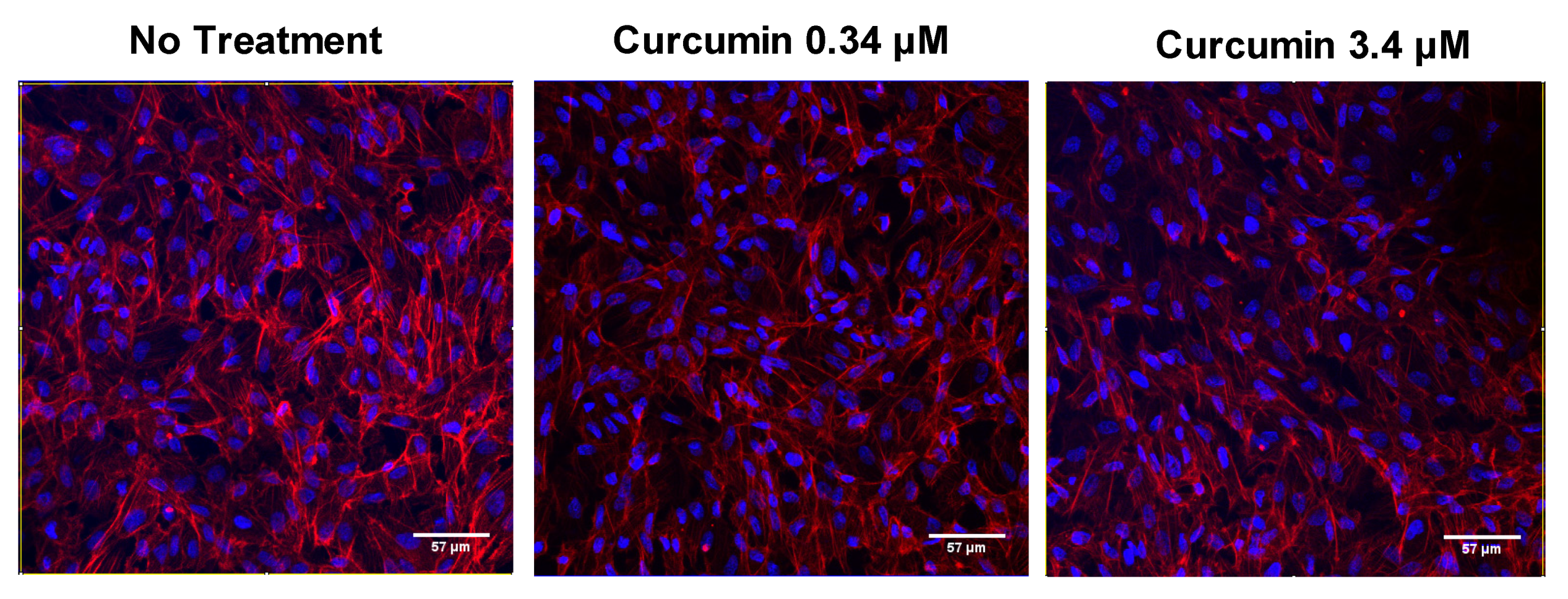 Nutrients 12 00879 g003