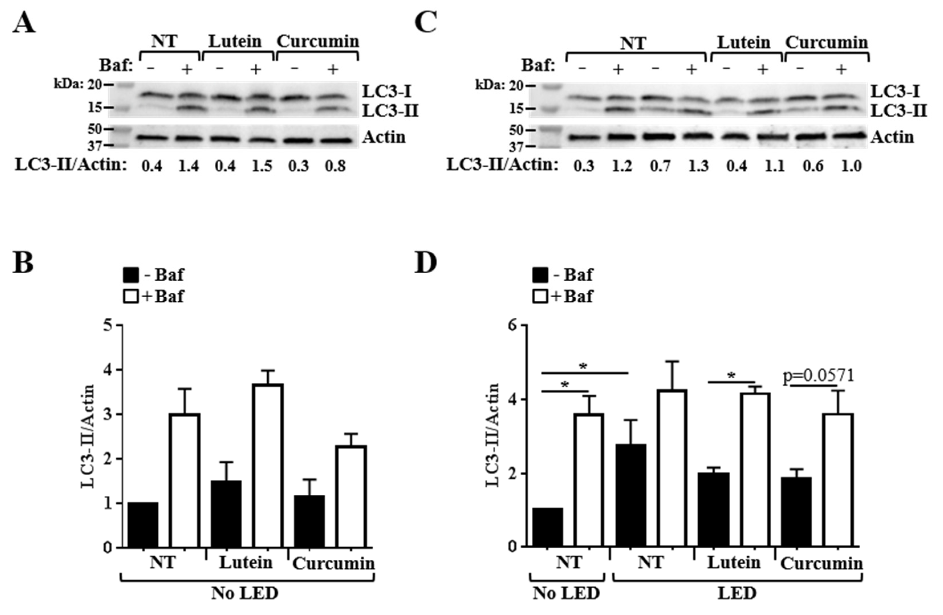 Nutrients 12 00879 g008