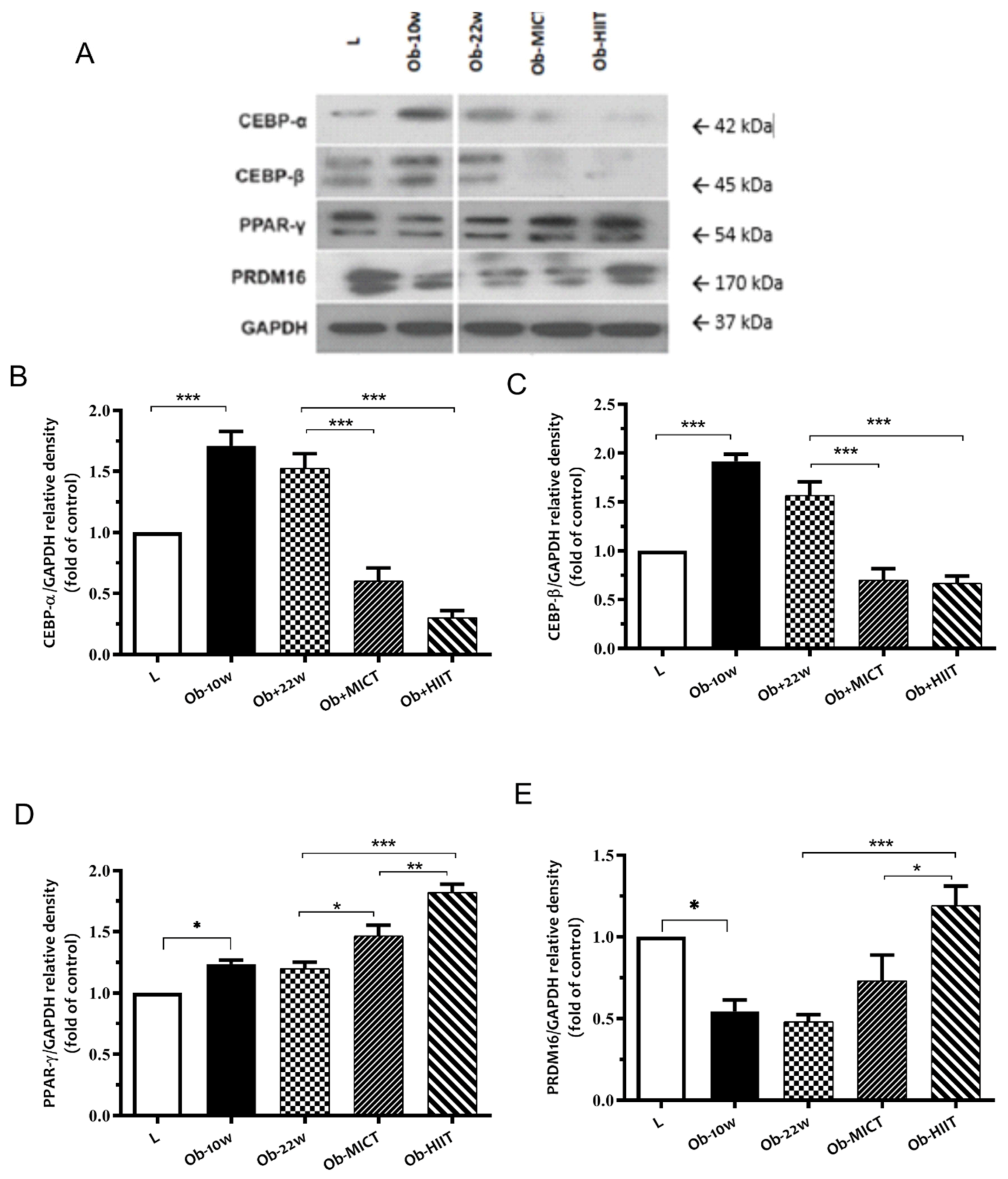 Nutrients 12 00925 g003