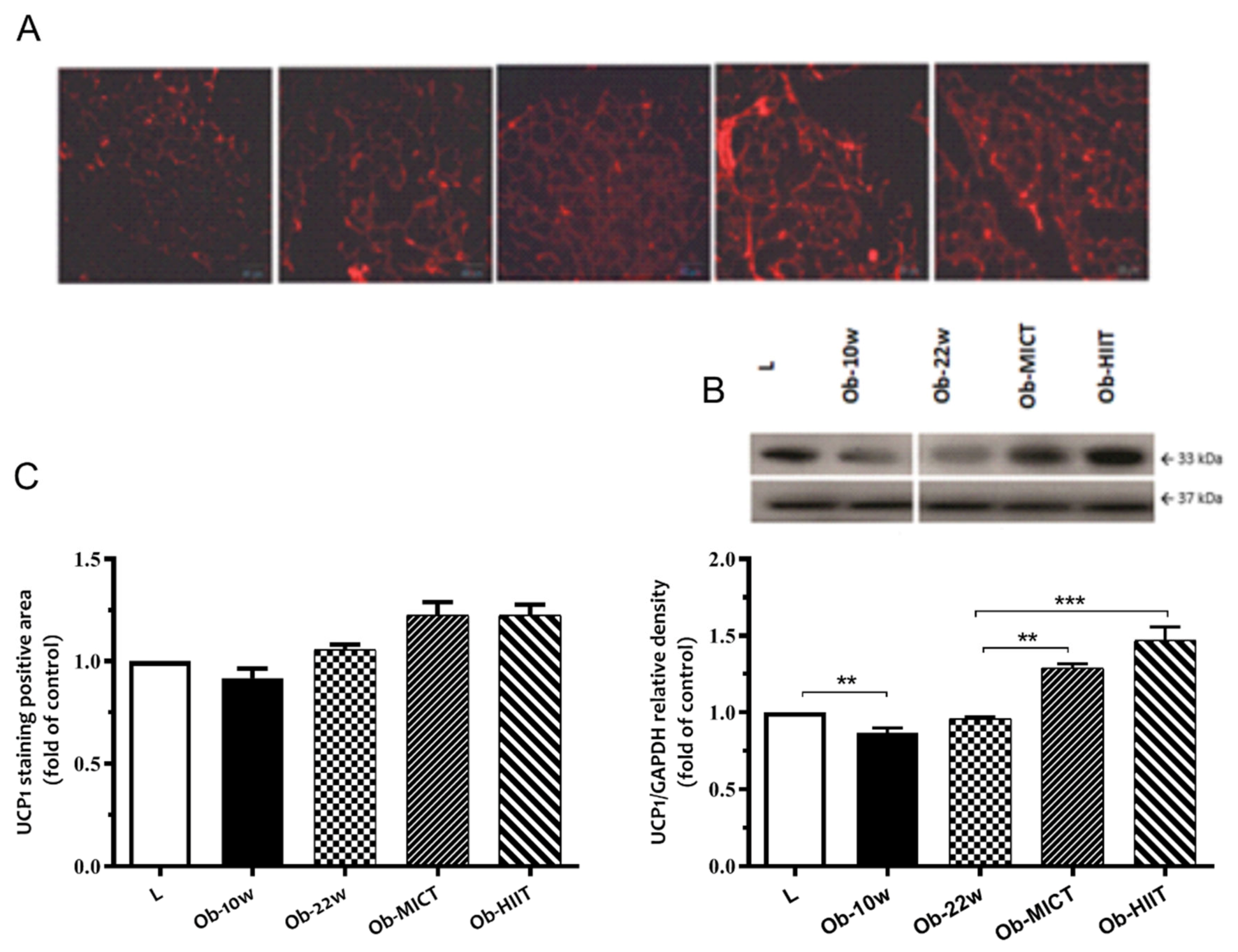 Nutrients 12 00925 g005