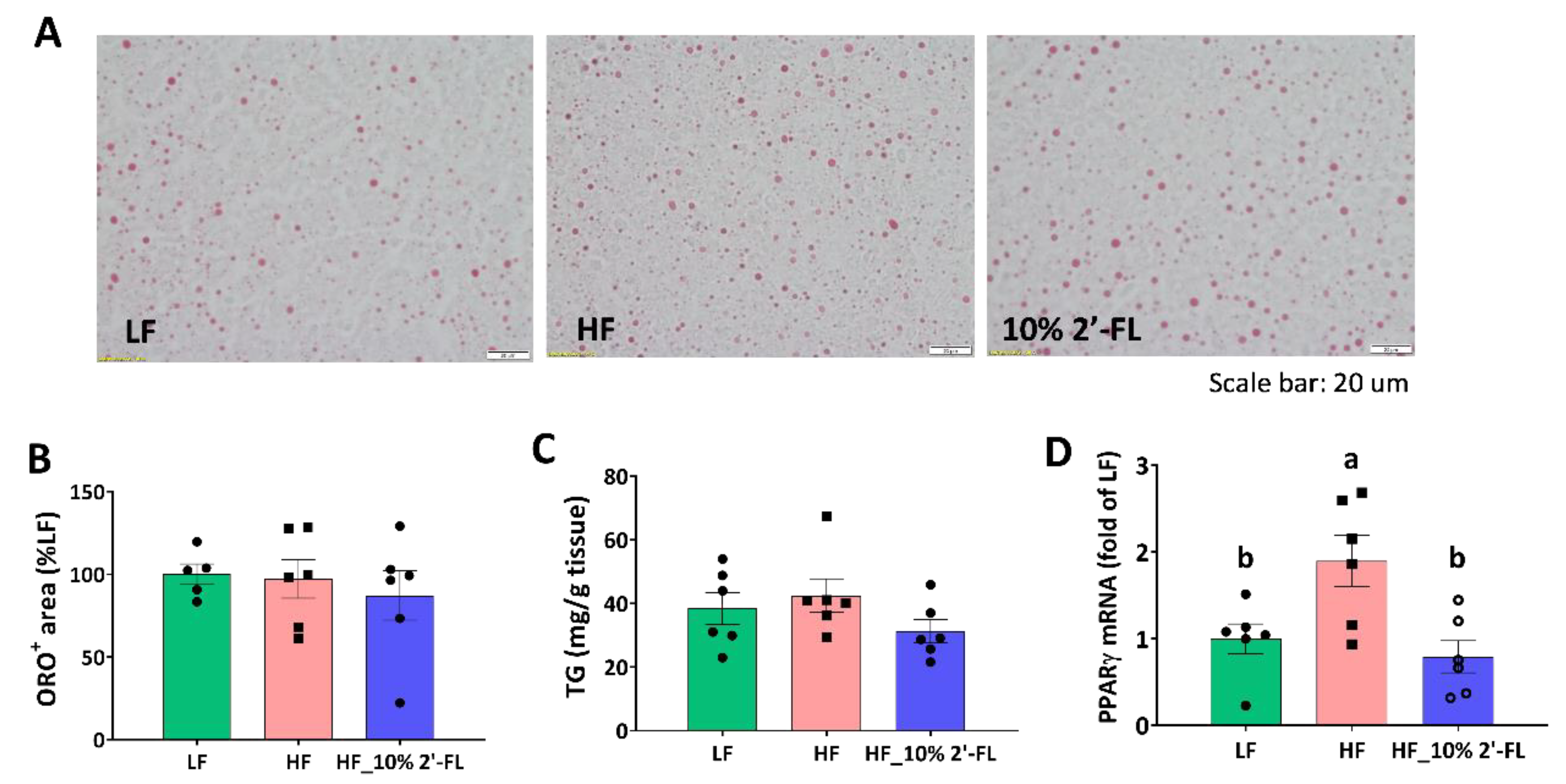 Nutrients 12 01003 g006