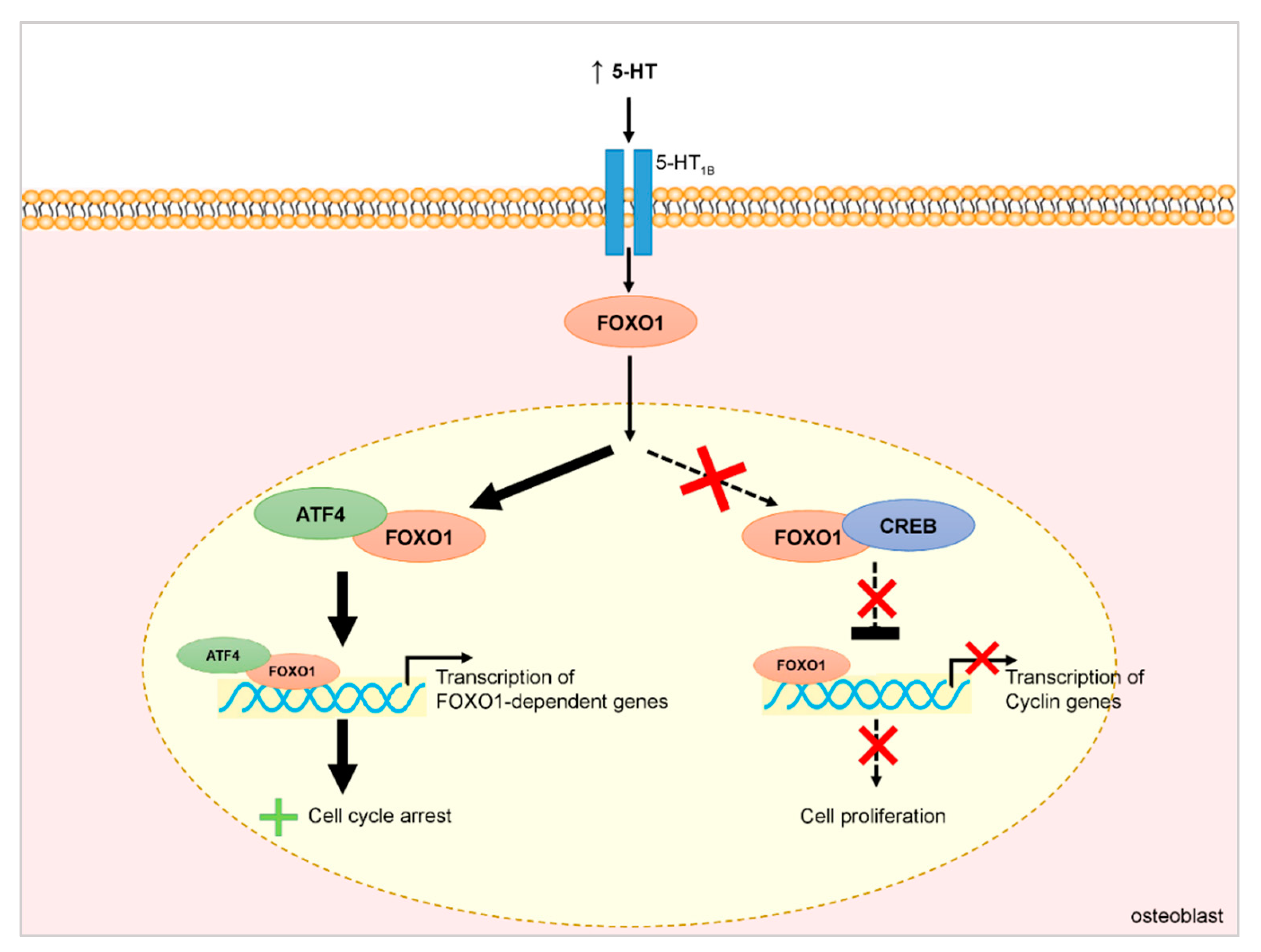 Nutrients 12 01021 g002