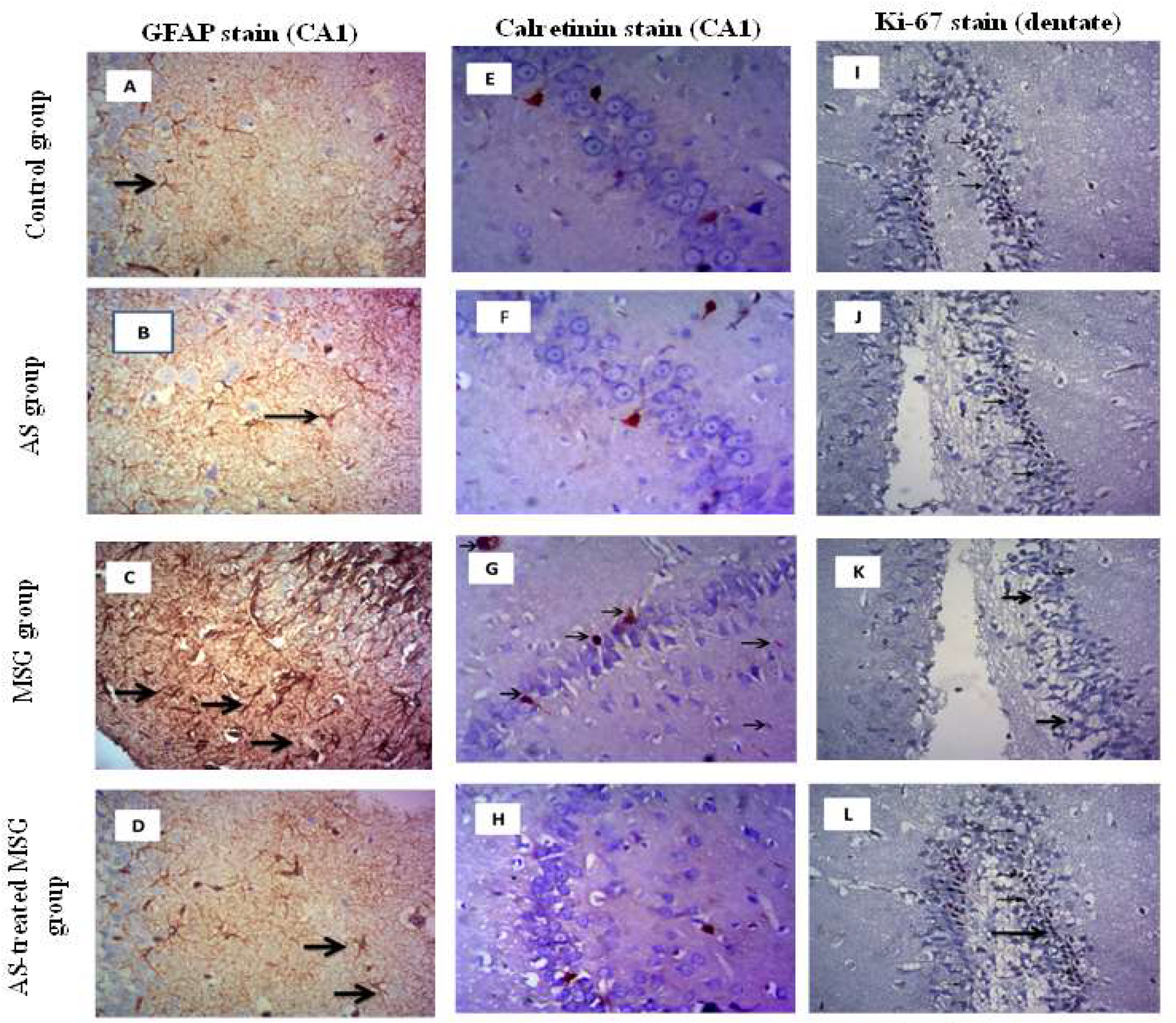 Nutrients 12 01028 g006a