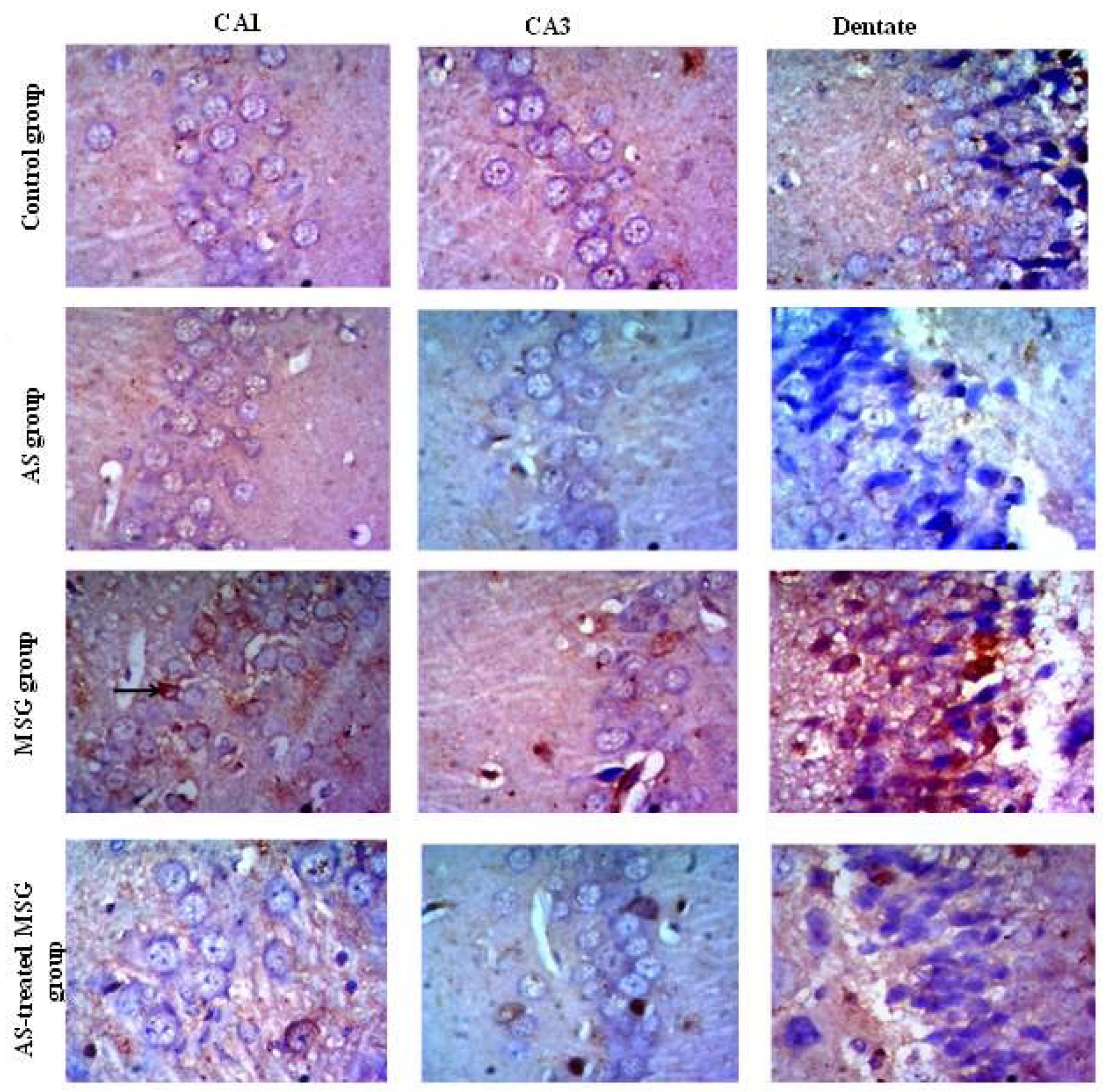 Nutrients 12 01028 g007