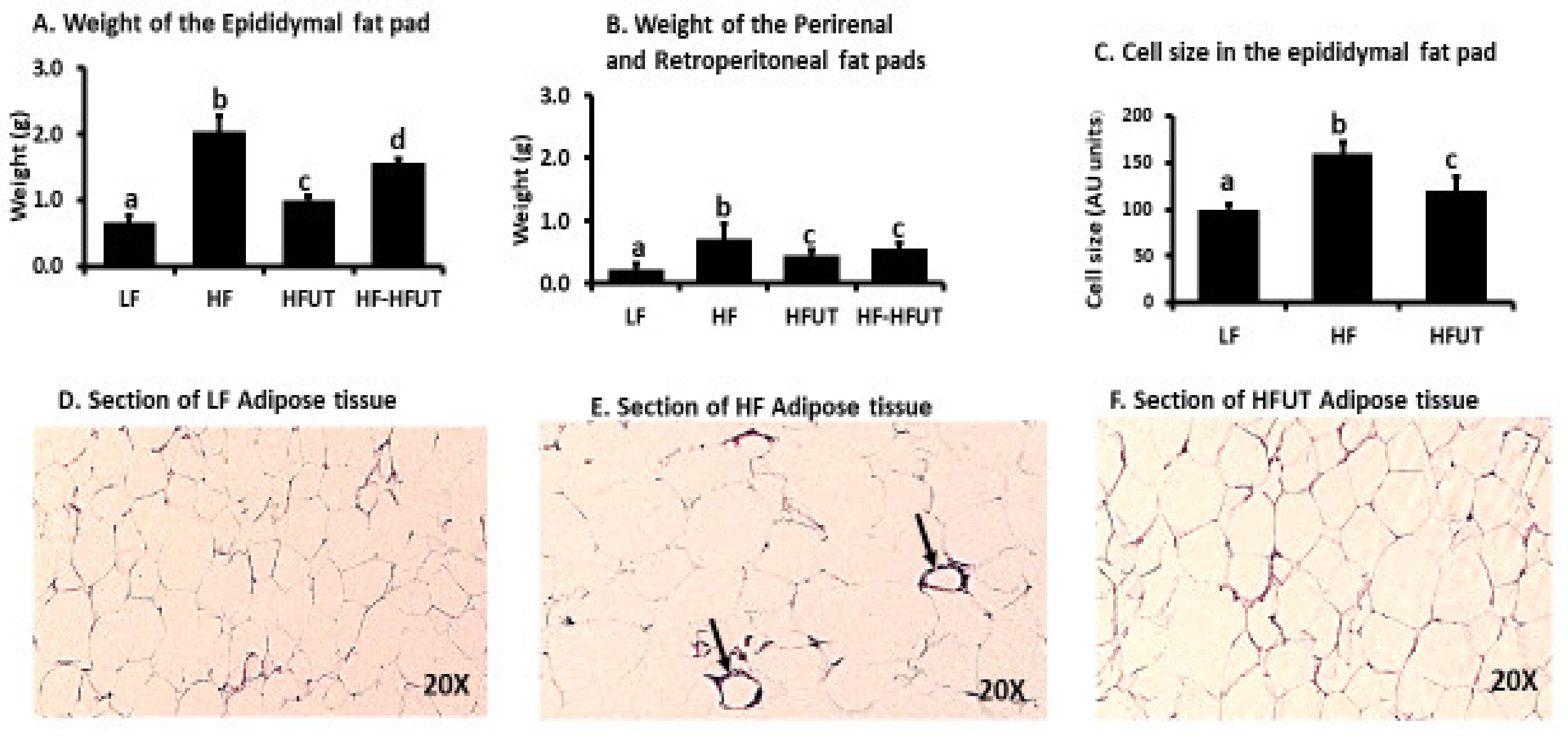 Nutrients 12 01059 g003