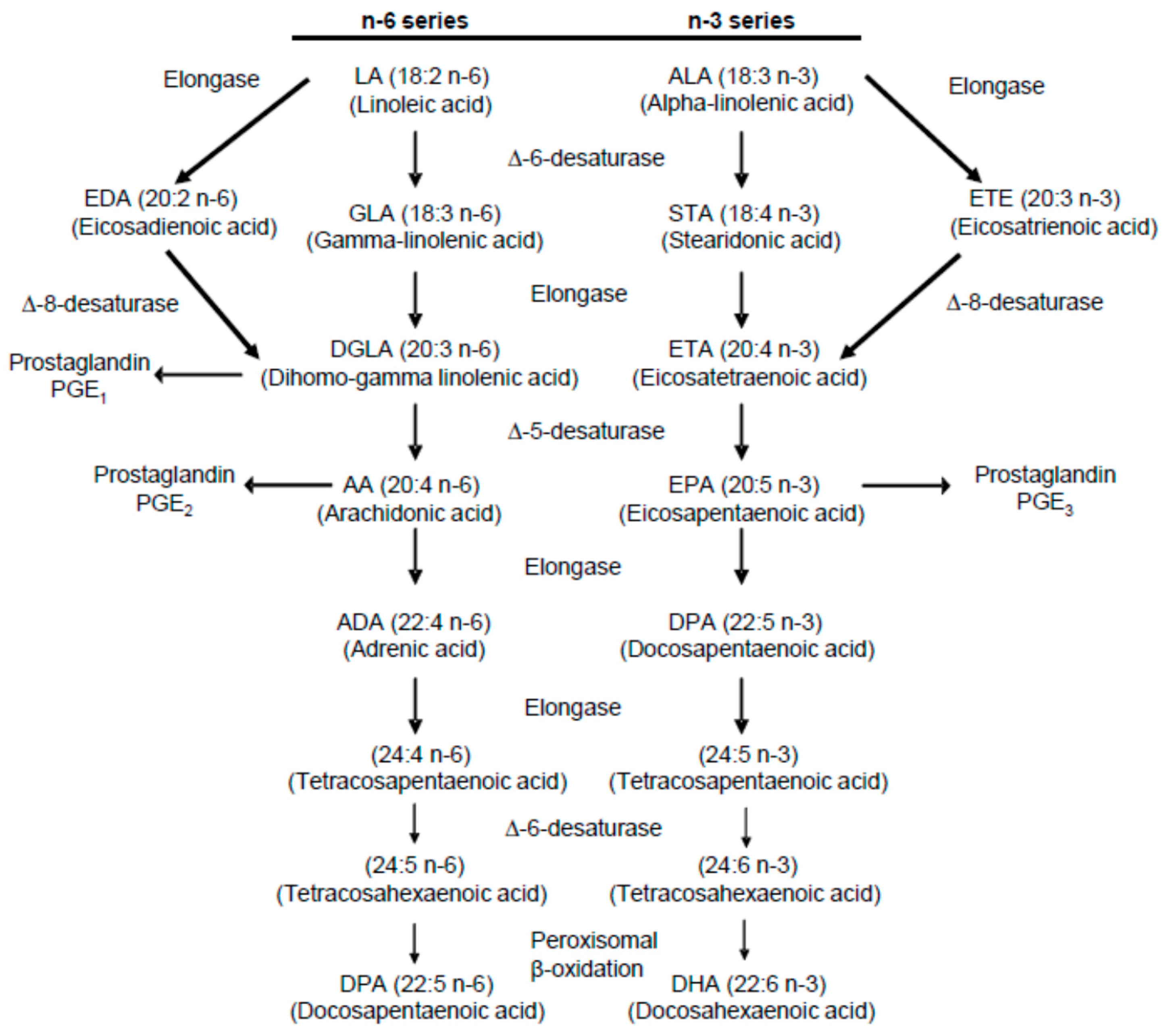 Nutrients 12 01069 g001