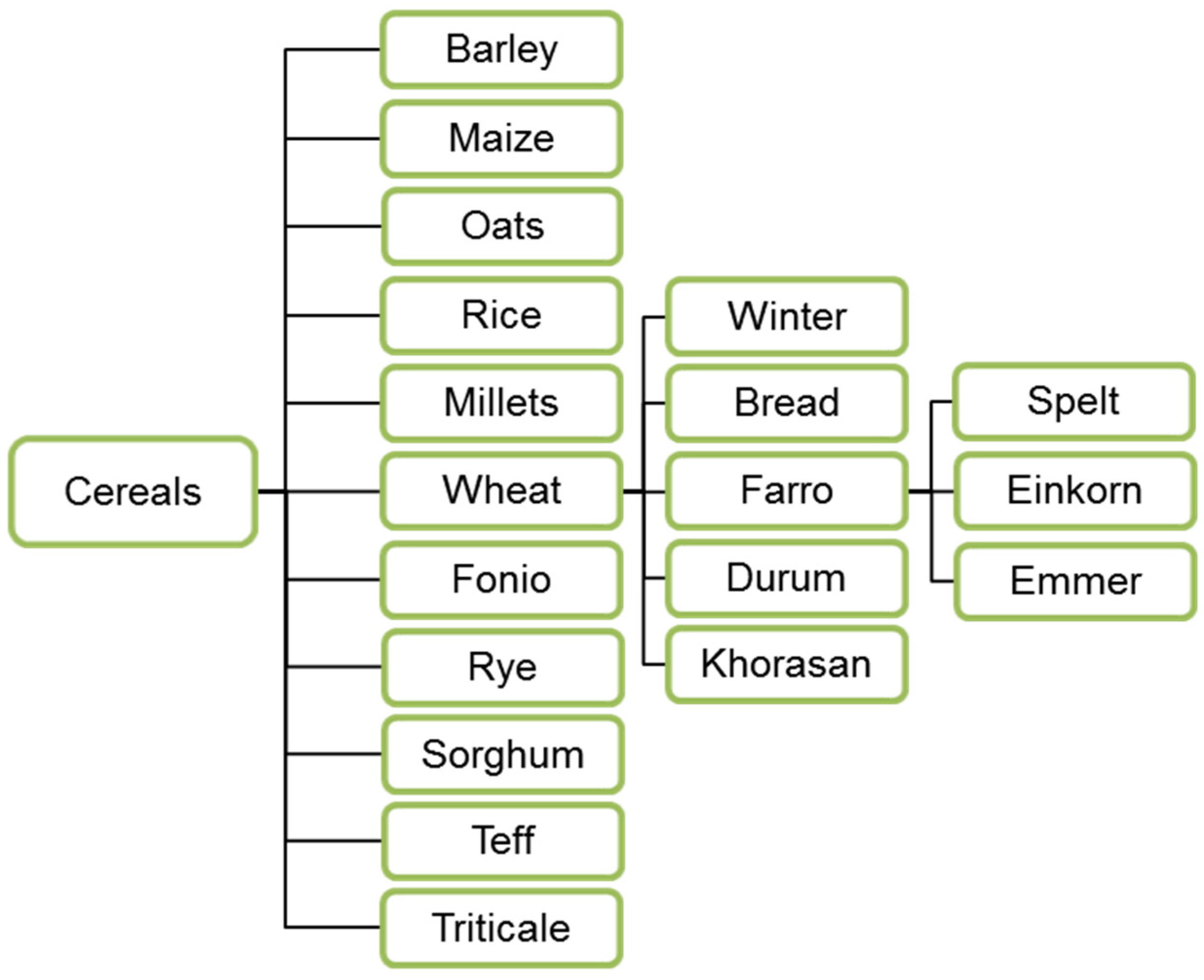 Nutrients 12 01118 g001
